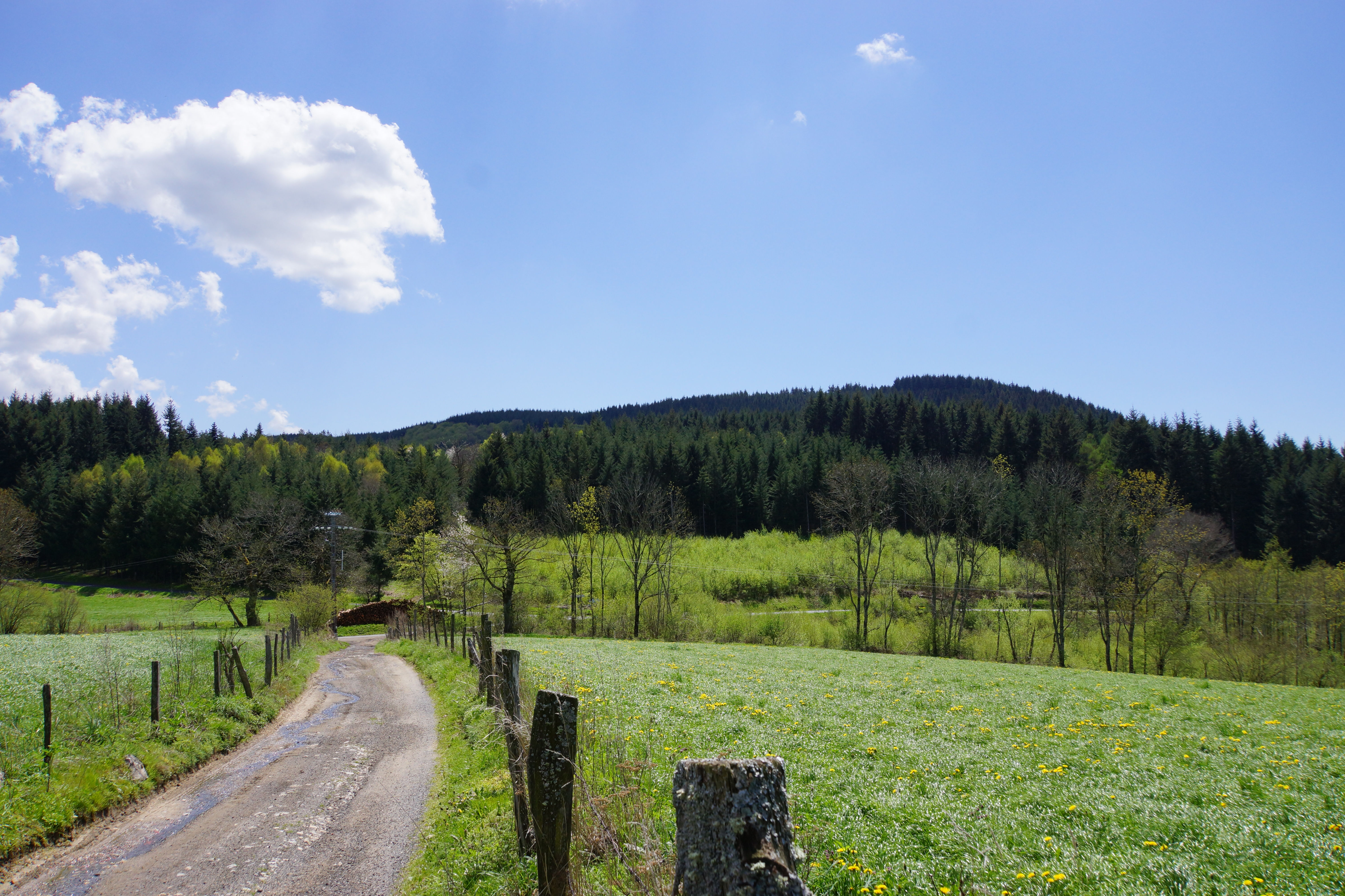 Puy d'Oscot