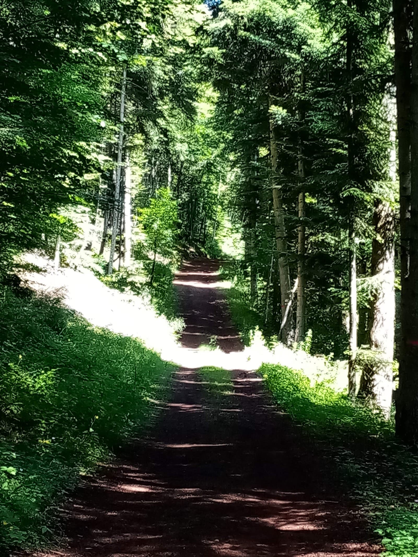 Lac de Saint-Front, Saint-Front (4/5)