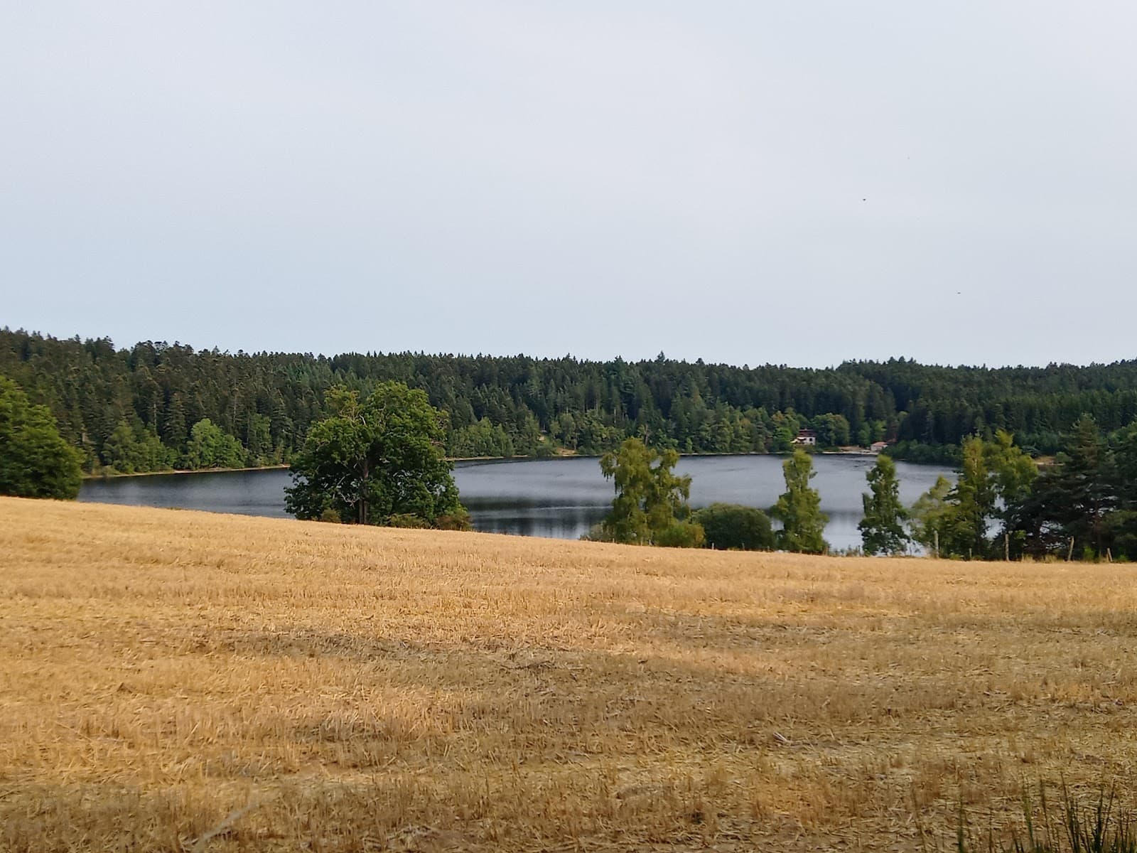 Monlet, Haute-Loire