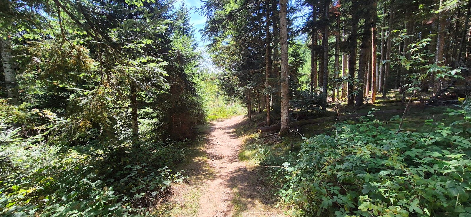 Lac de Malaguet, Monlet (3/5)