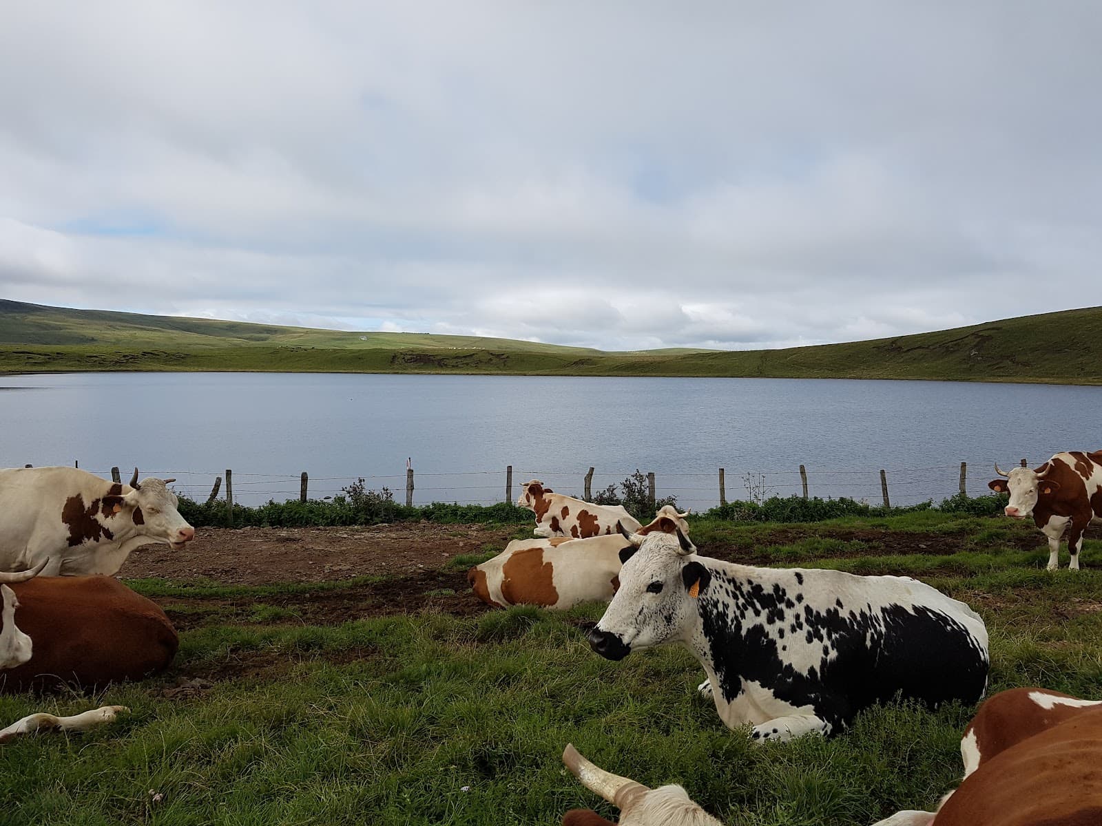 Lac d'en-haut de La Godivelle, La Godivelle (5/5)