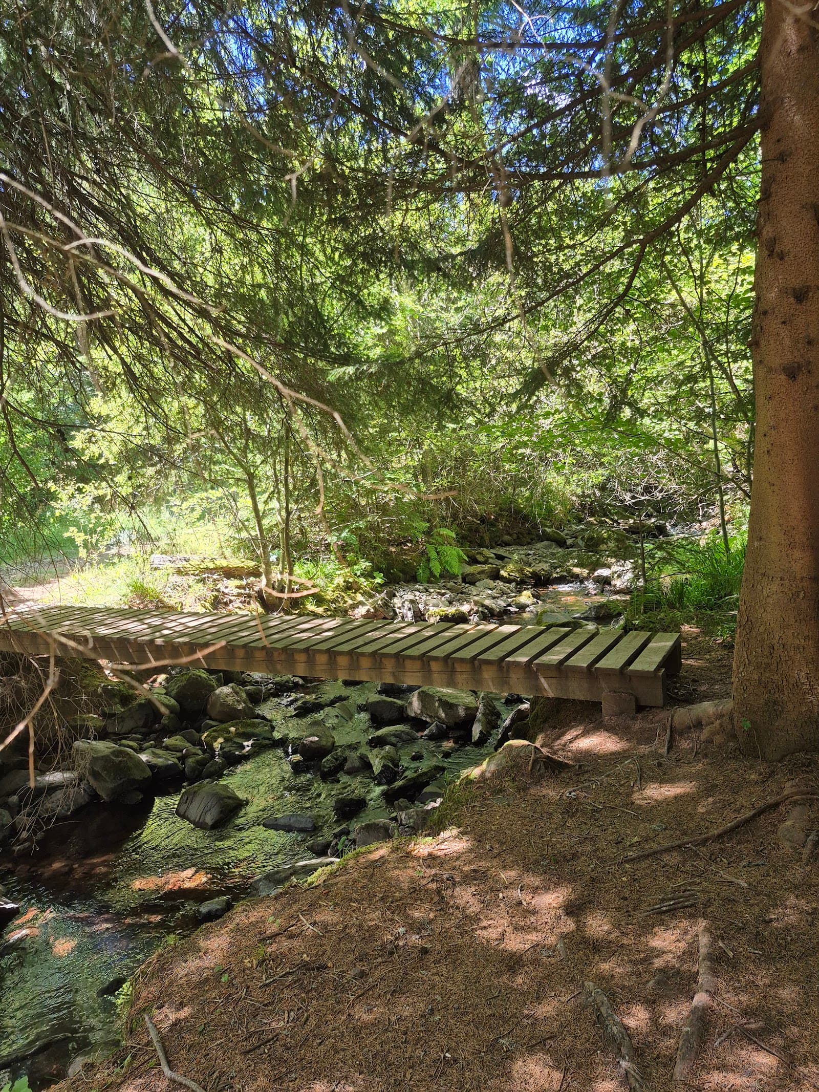 Les cascades du Lagnon, Albepierre-Bredons (3/5)