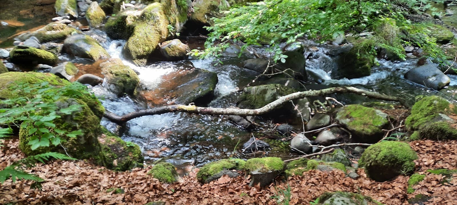 Cascade de Captat, Malbo (3/5)