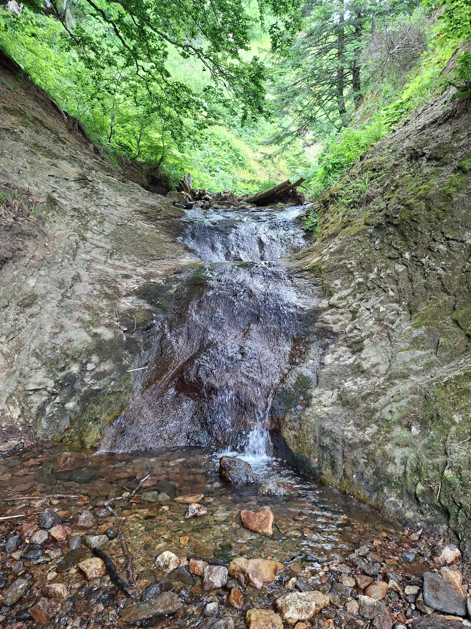 Sources de la Dordogne, Le Mont-Dore (1/5)