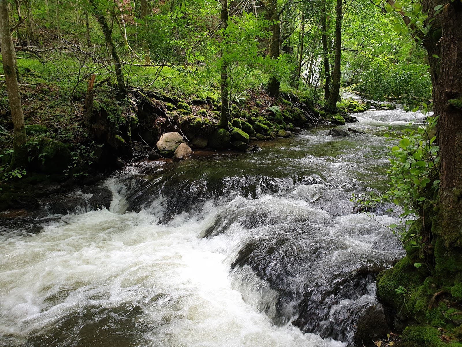 Cascade de la Roche, Cheylade (3/5)