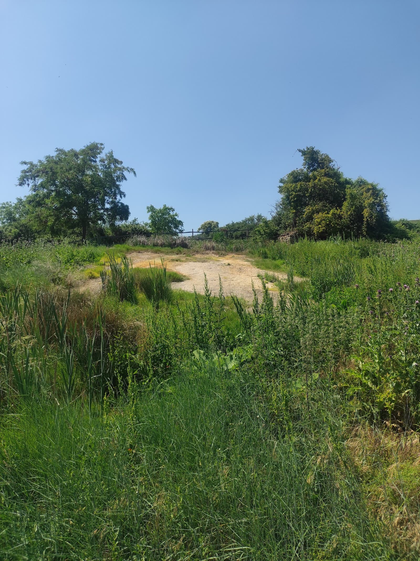 Sources pétrifiantes de Gimeaux, Gimeaux (2/5)
