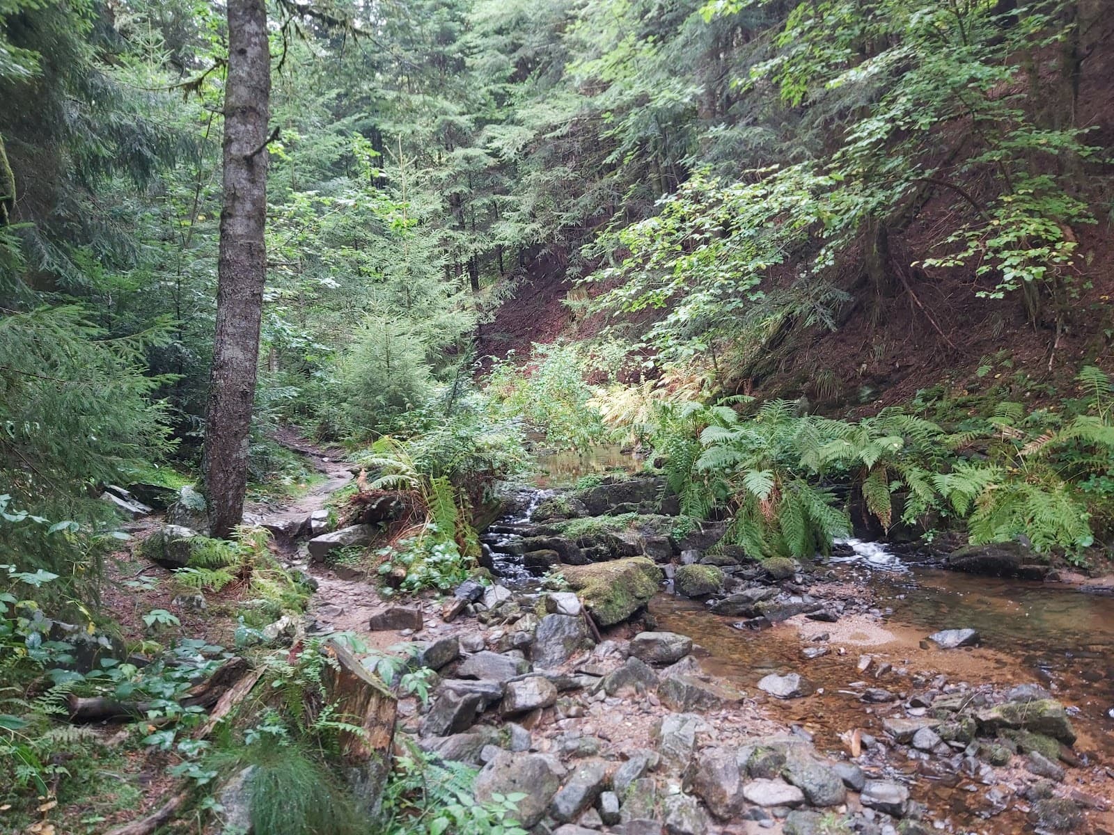 Cascade de Gomot, Saint-Germain-l'Herm (1/5)