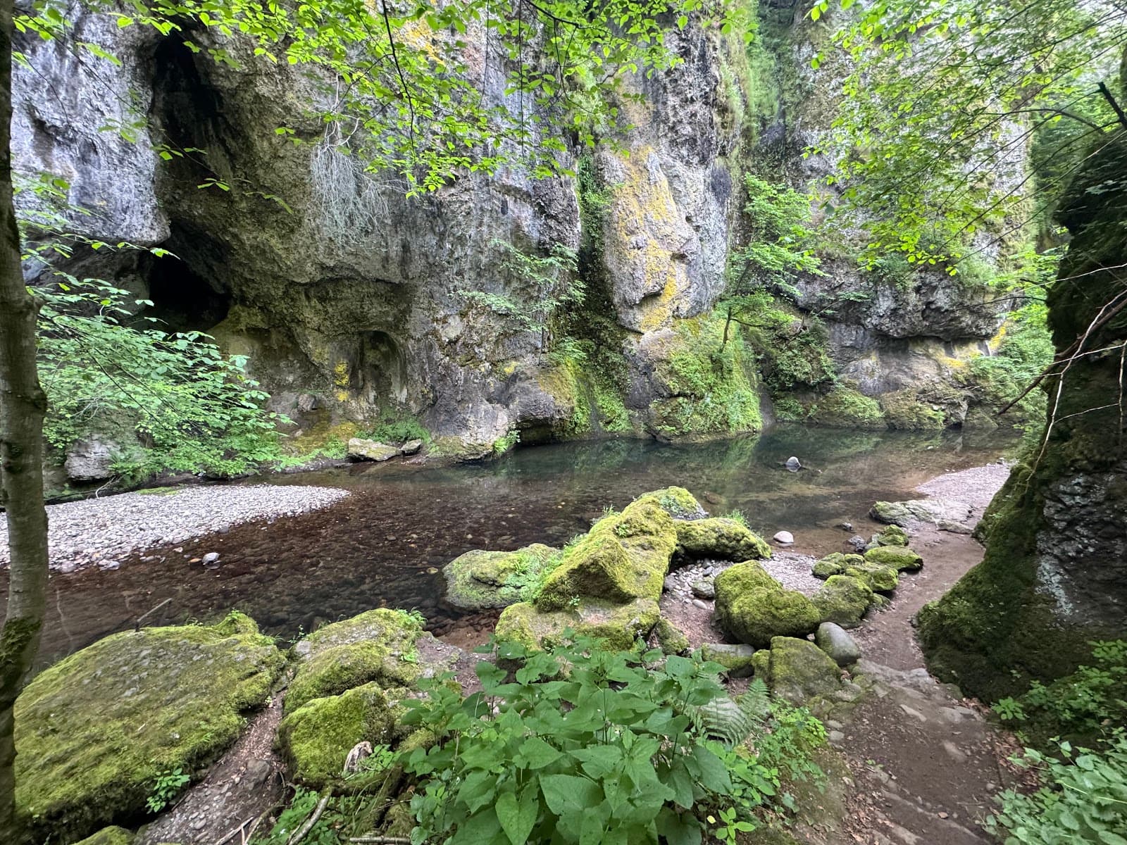 Gorges du Pas de Cère, Thiézac (1/5)