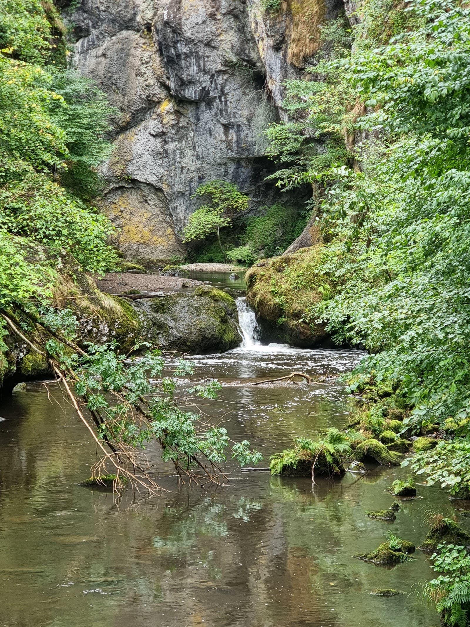 Gorges du Pas de Cère, Thiézac (2/5)