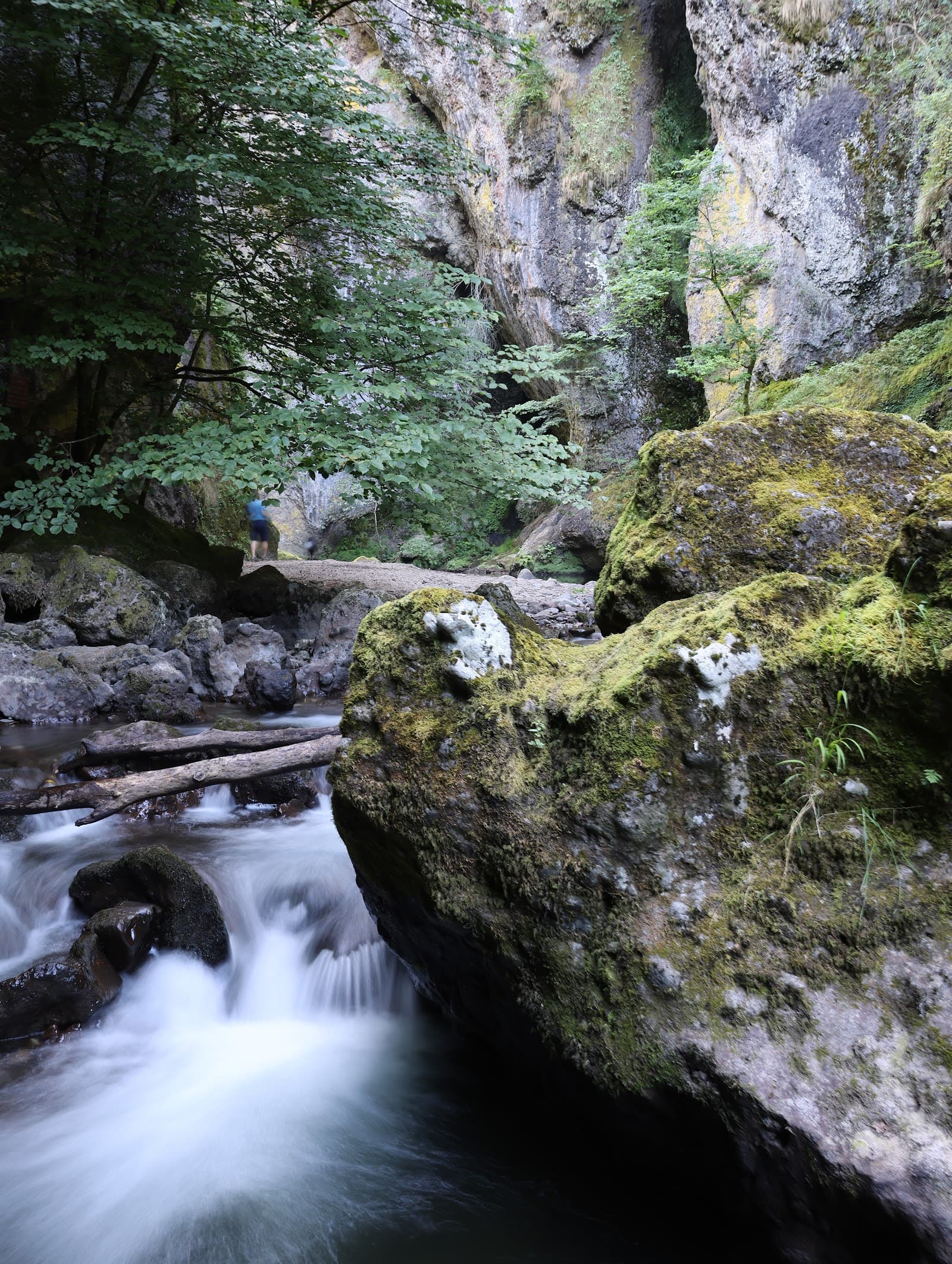 Gorges du Pas de Cère, Thiézac (3/5)