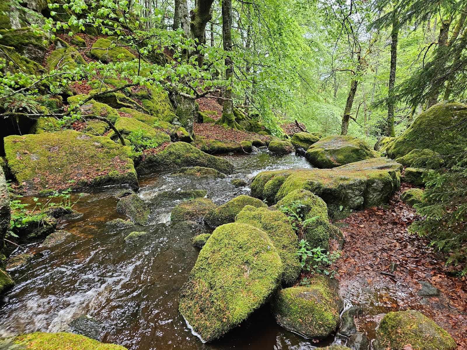 Cascade du Creux de l'Oulette, Saillant (5/5)