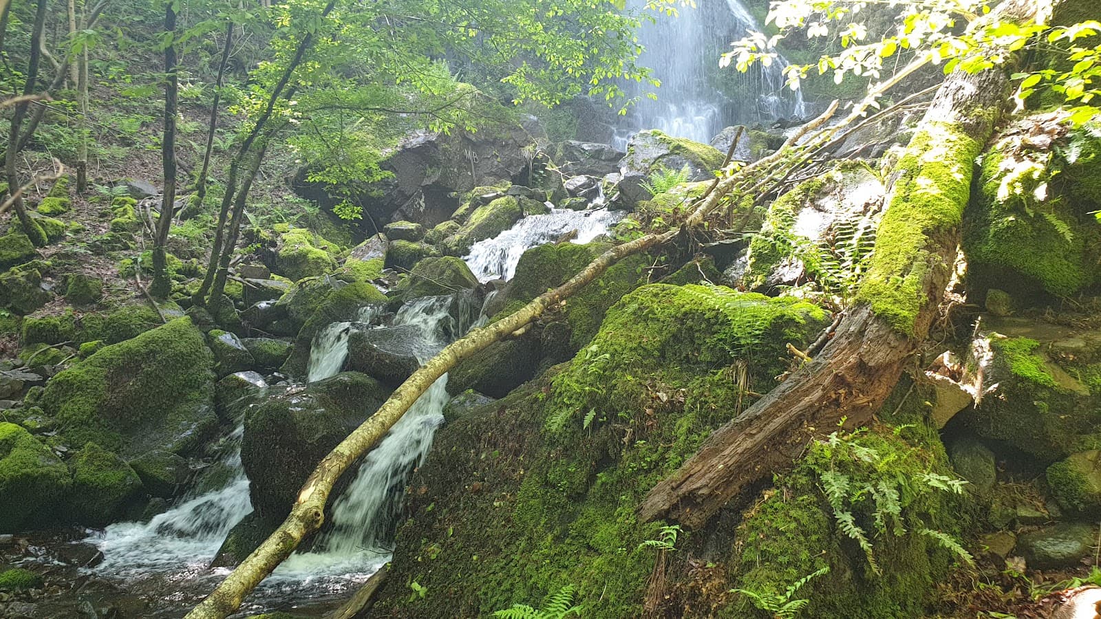 Cascade du Luc, Mandailles-Saint-Julien (5/5)
