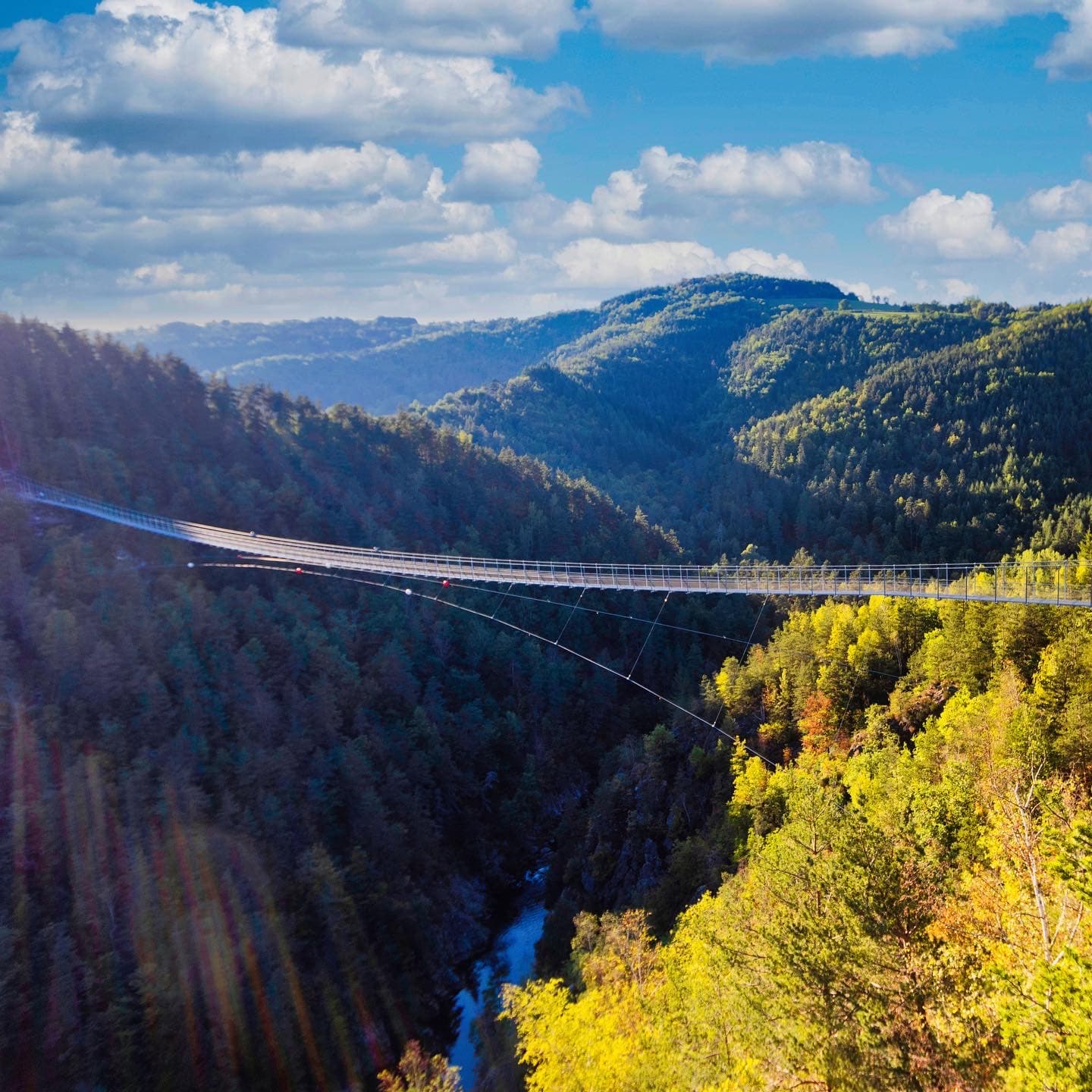 Passerelle des Gorges du Lignon, Saint-Maurice-de-Lignon (2/5)