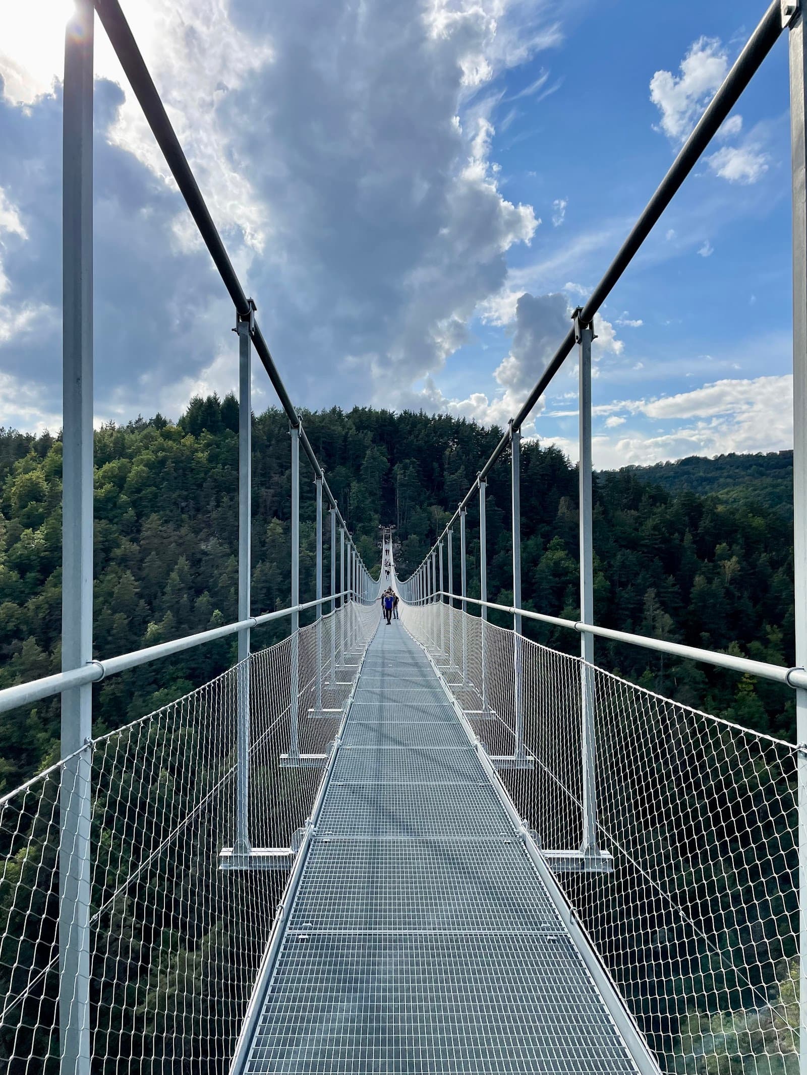 Passerelle des Gorges du Lignon, Saint-Maurice-de-Lignon (3/5)
