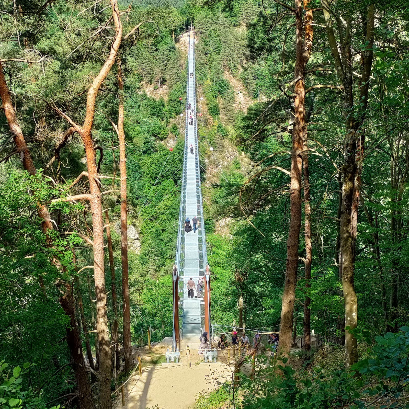 Passerelle des Gorges du Lignon, Saint-Maurice-de-Lignon (4/5)