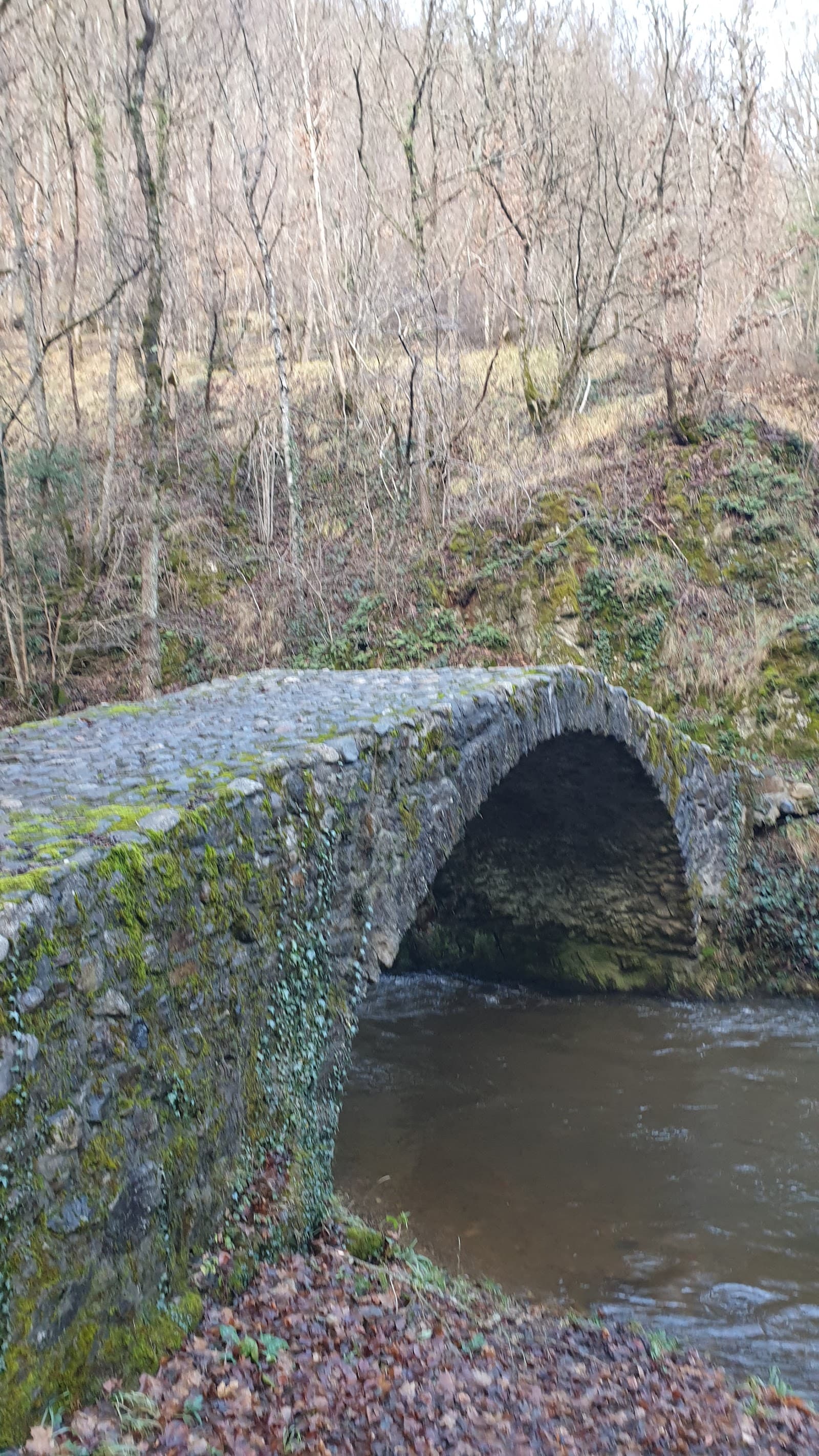 Gorges de Courgoul, Valbeleix (1/5)