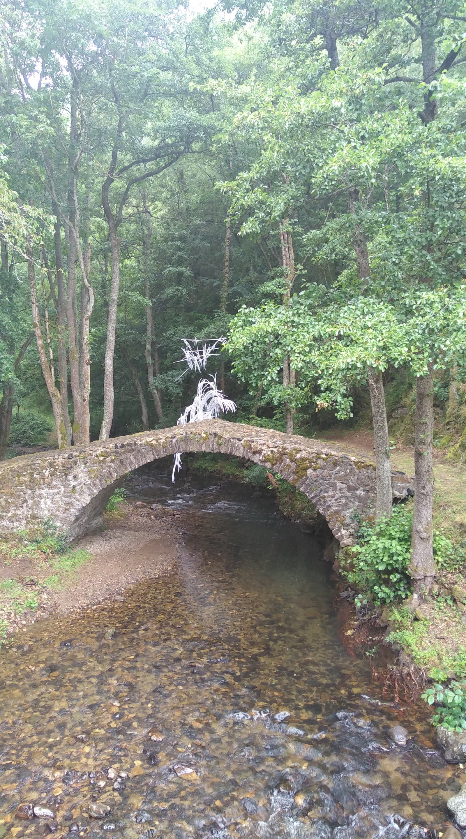 Gorges de Courgoul, Valbeleix (2/5)