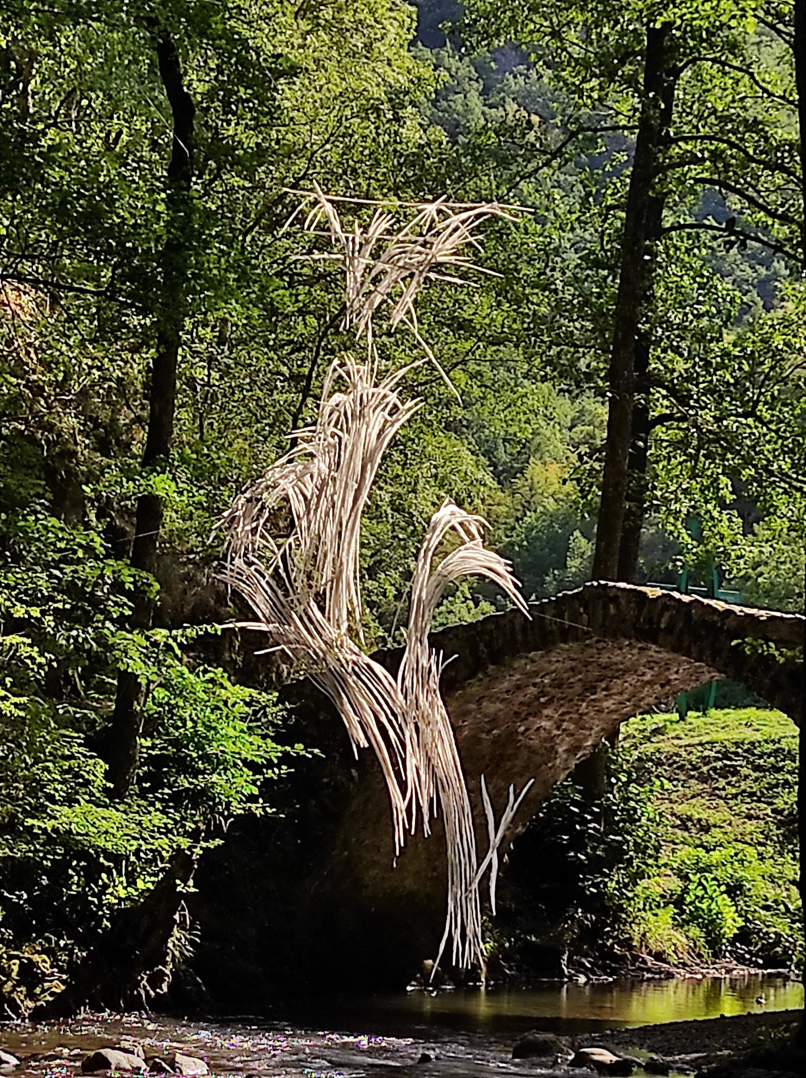 Gorges de Courgoul, Valbeleix (3/5)