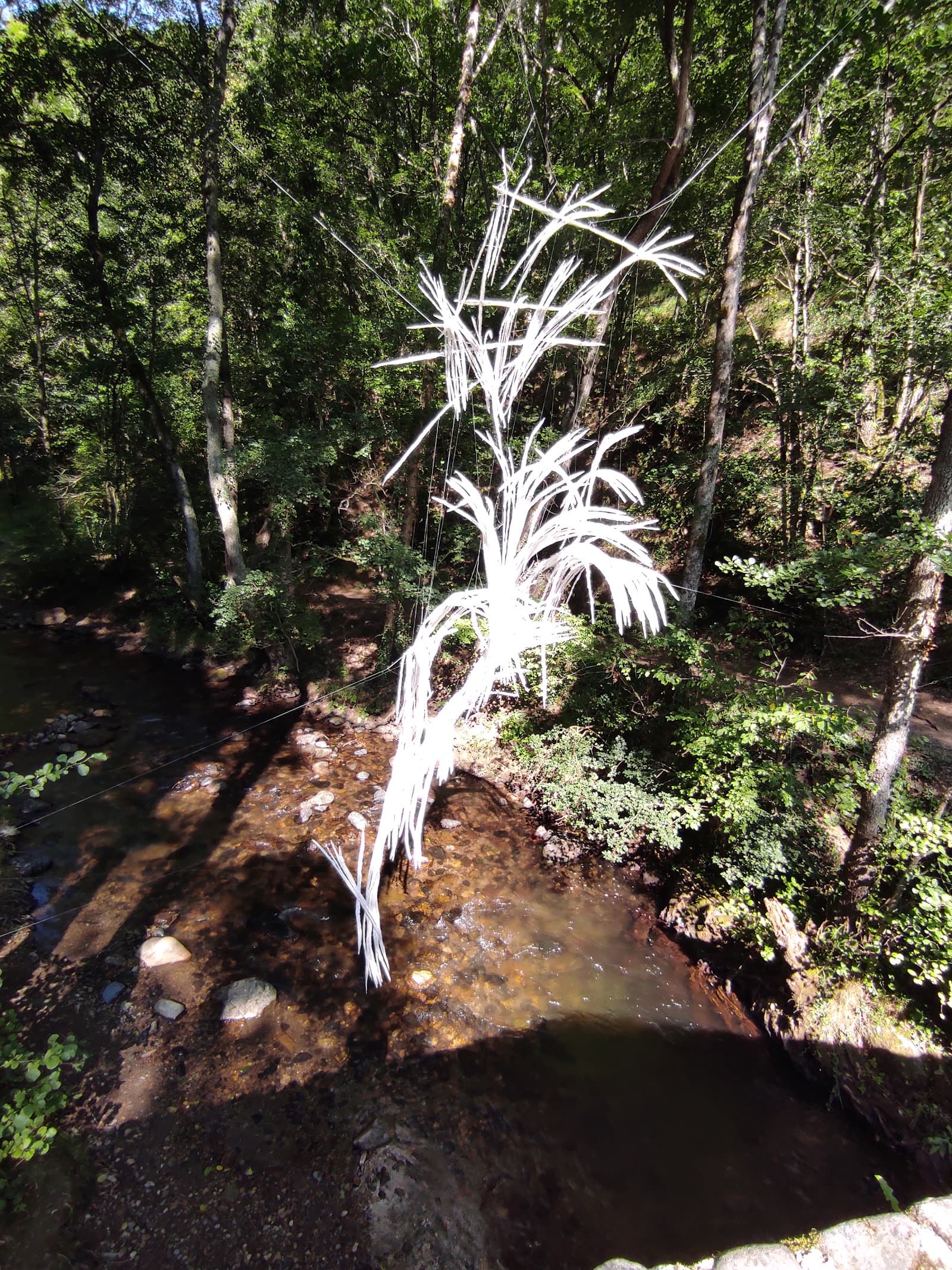Gorges de Courgoul, Valbeleix (4/5)