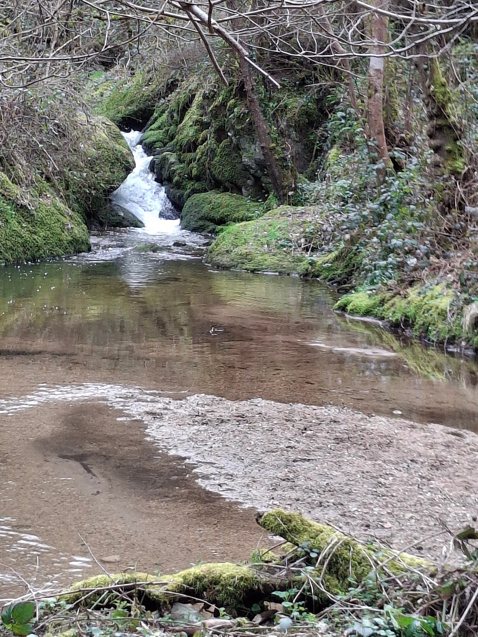 Gorges de Bilhard, Monistrol-sur-Loire (2/5)