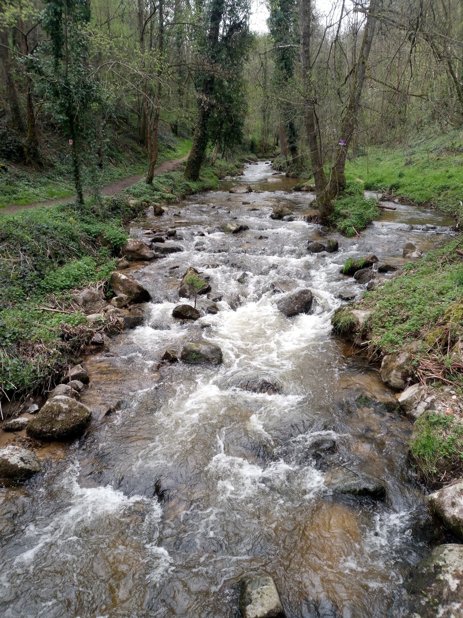 Gorges de Bilhard, Monistrol-sur-Loire (3/5)