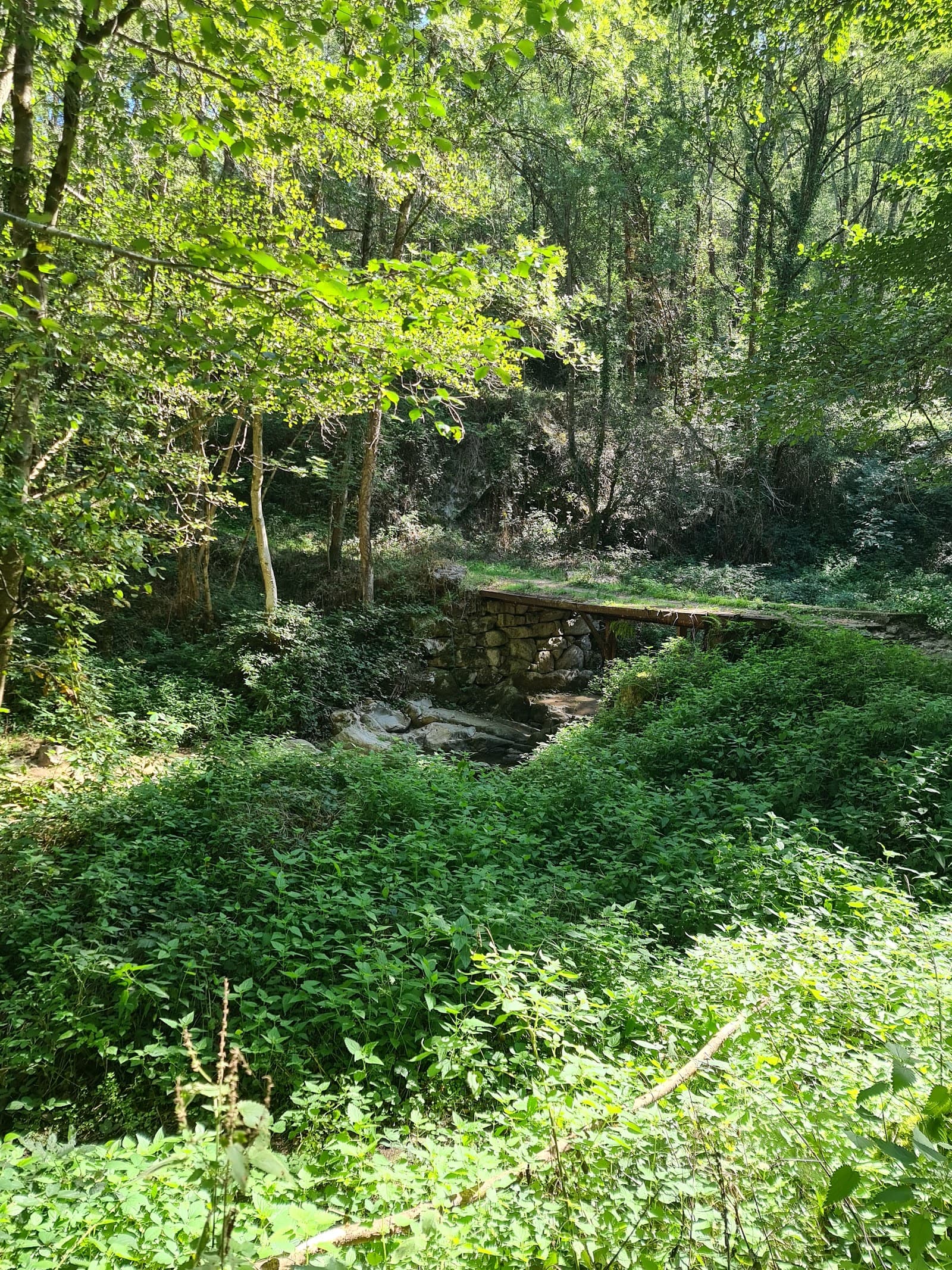 Gorges de Bilhard, Monistrol-sur-Loire (5/5)