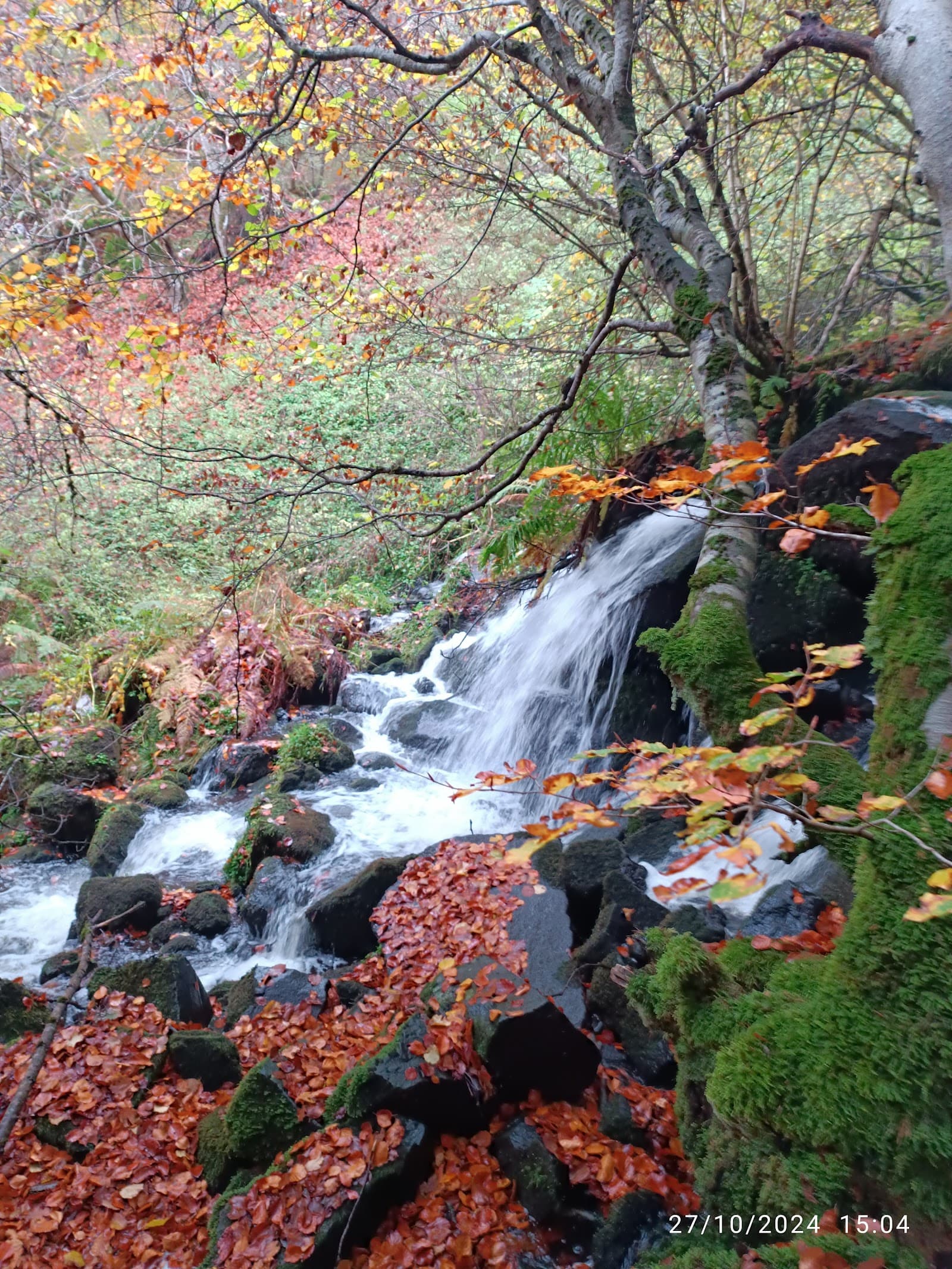 Cascade du Cheix, Chambon-sur-Lac (2/5)