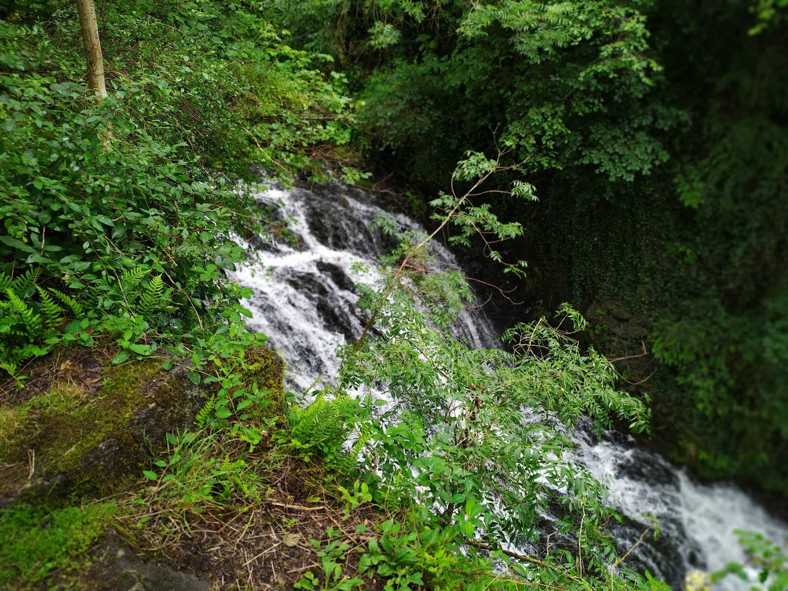 Cascade des Saliens, Nébouzat (2/5)