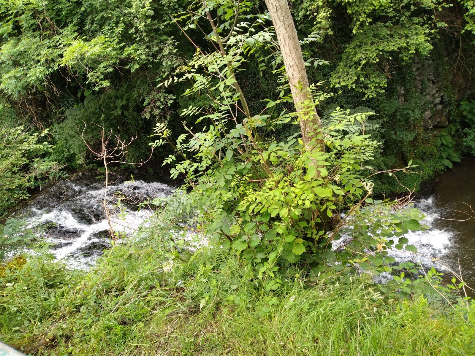 Cascade des Saliens, Nébouzat (3/5)