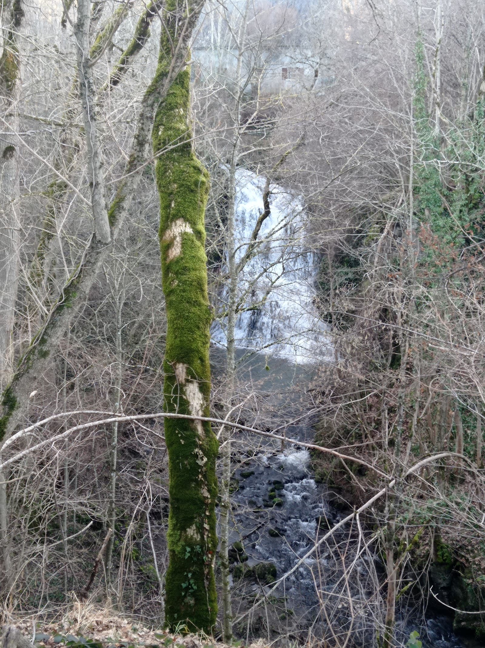 Cascade des Saliens, Nébouzat (5/5)
