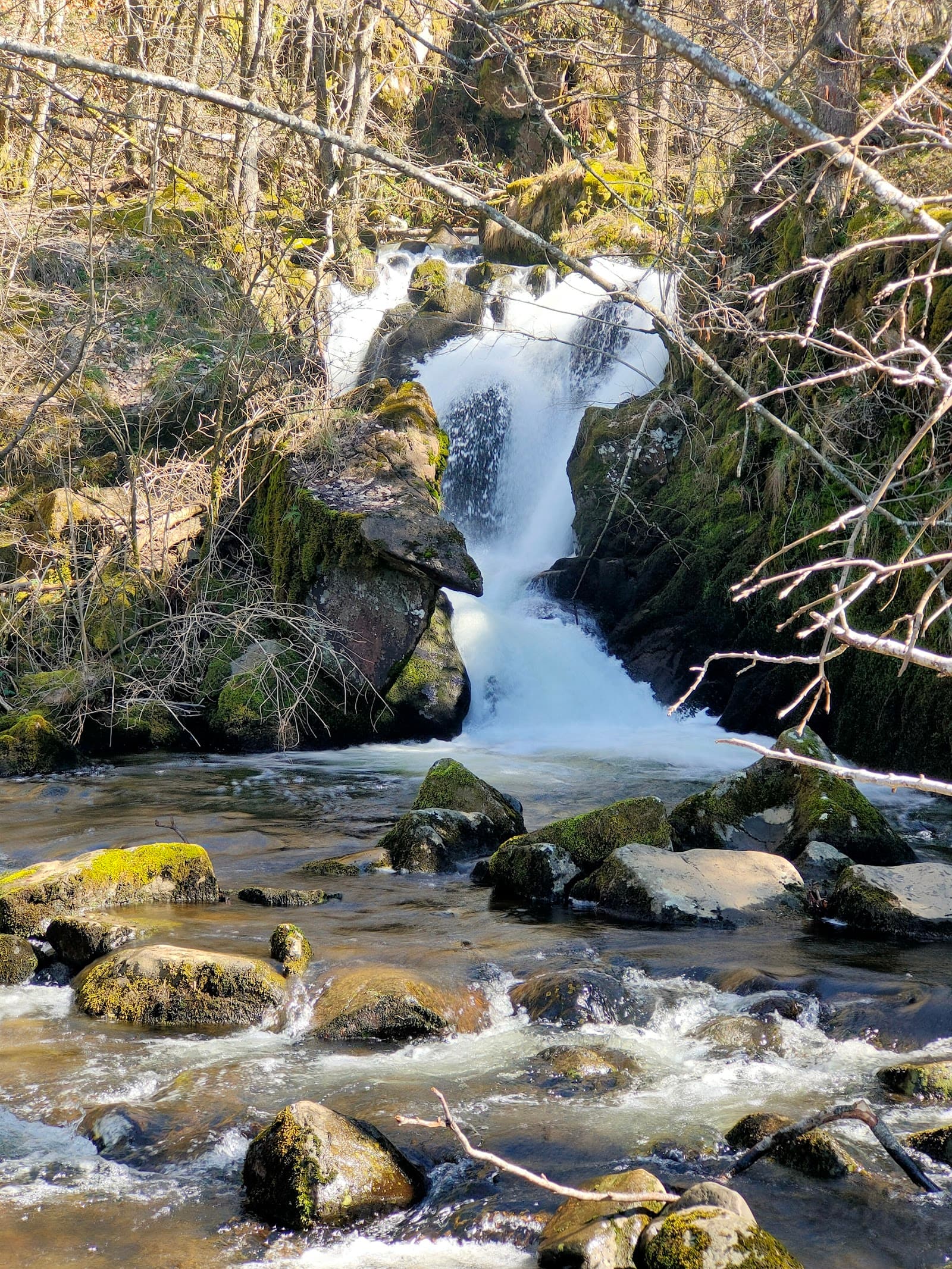Cascade du Pont-de-Pierre, La Tour-d'Auvergne (1/5)