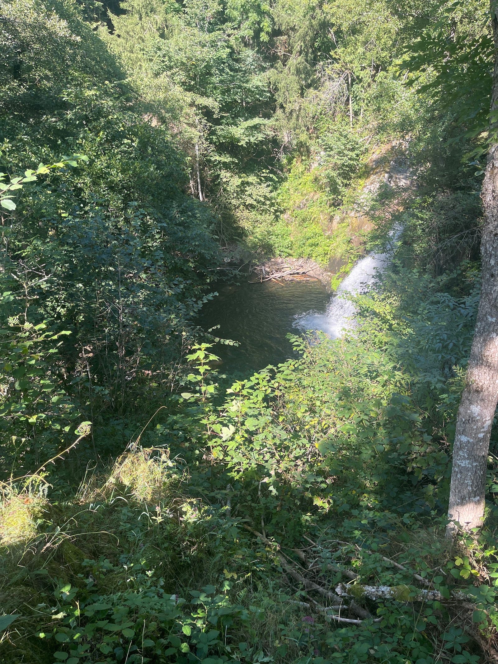 Cascade du Pont-de-Pierre, La Tour-d'Auvergne (3/5)