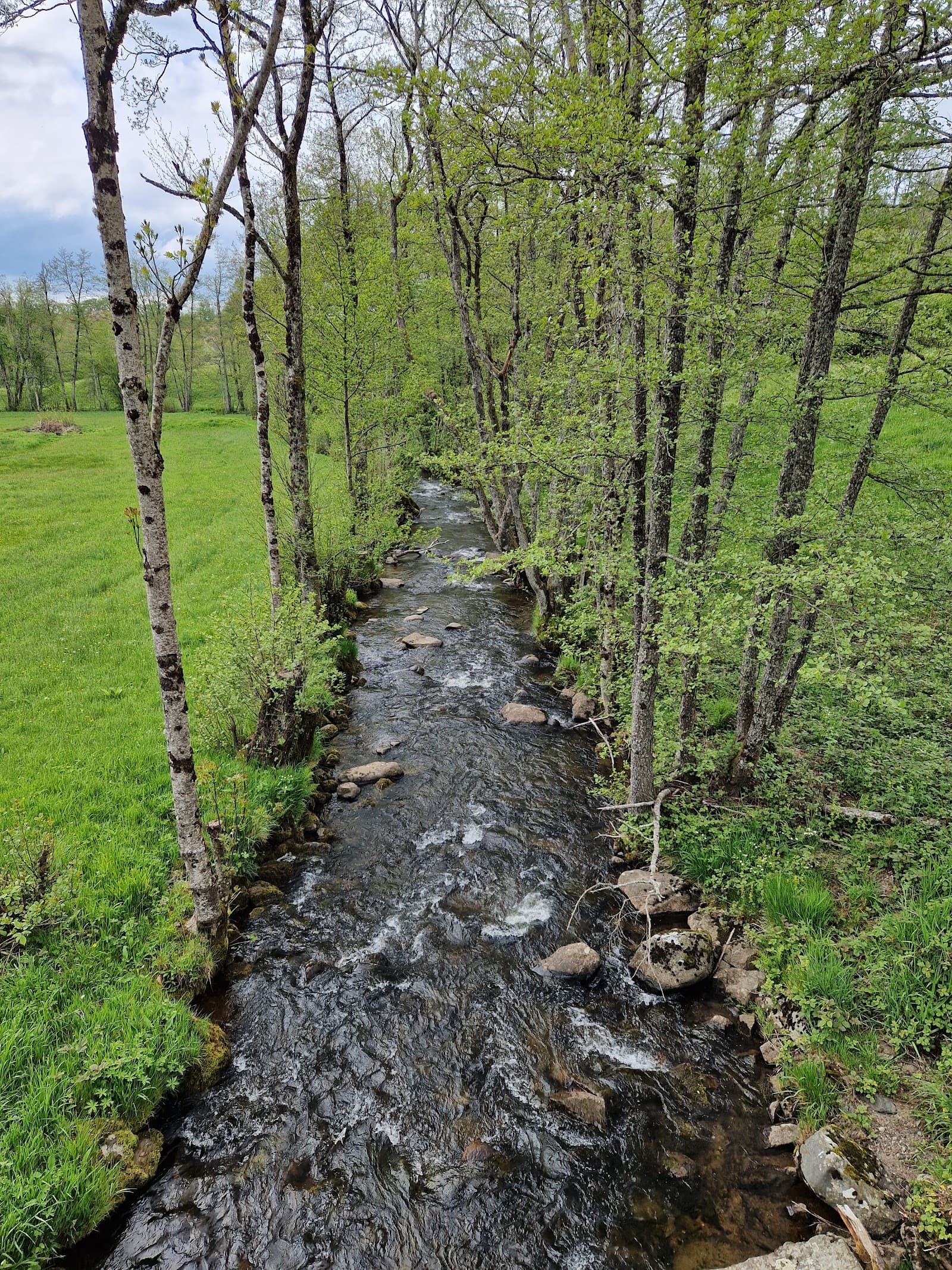 Cascade du Pont-de-Pierre, La Tour-d'Auvergne (4/5)