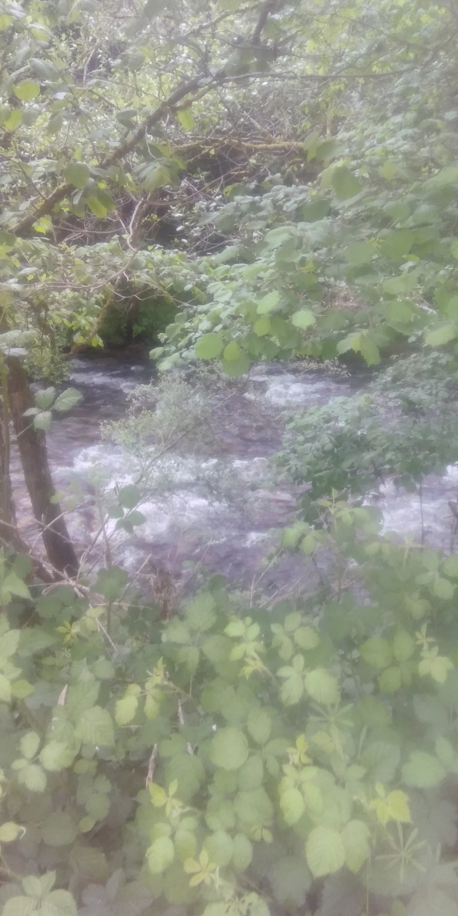 Gorges d'Avèze, Messeix (2/5)