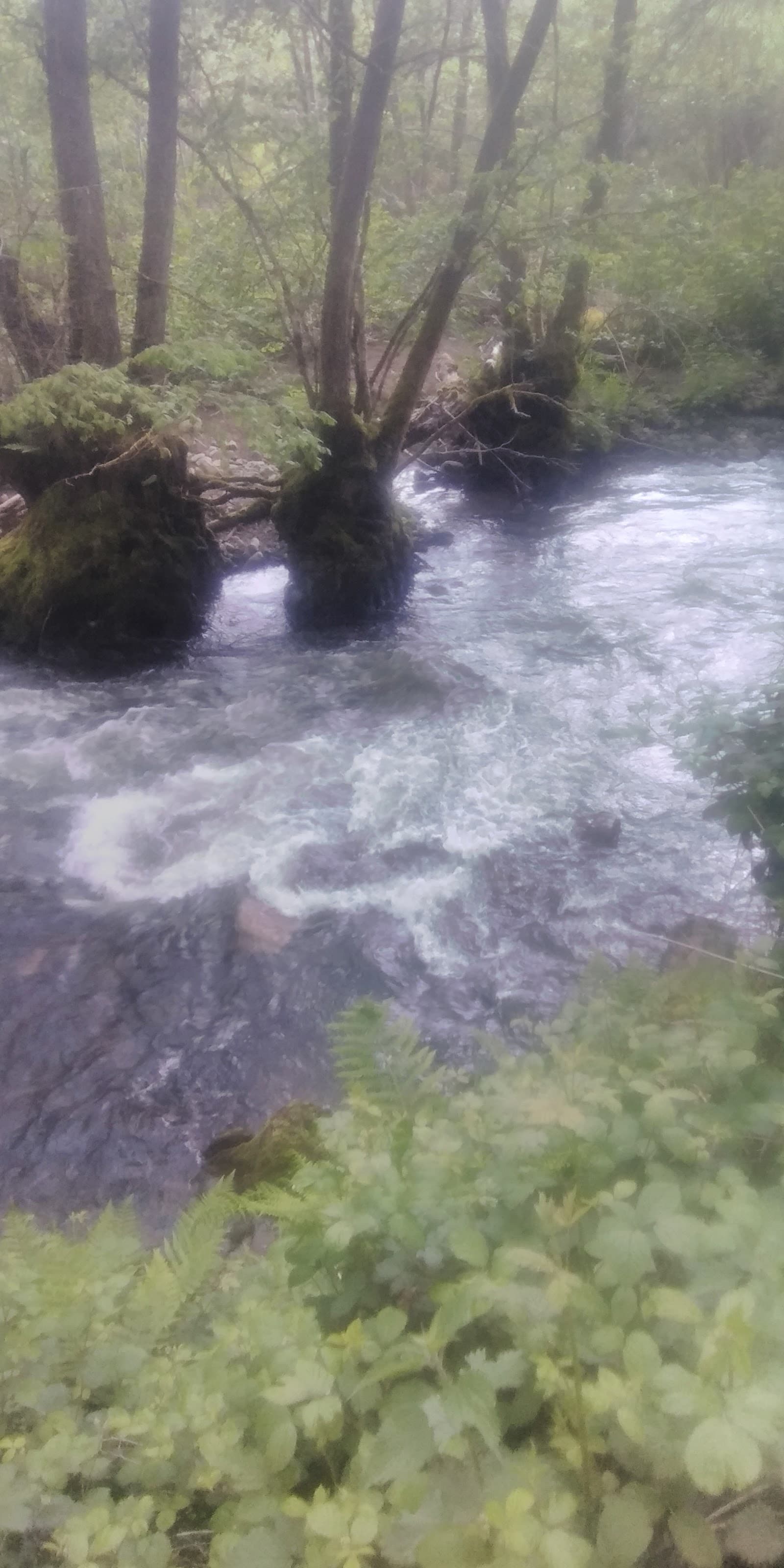Gorges d'Avèze, Messeix (3/5)