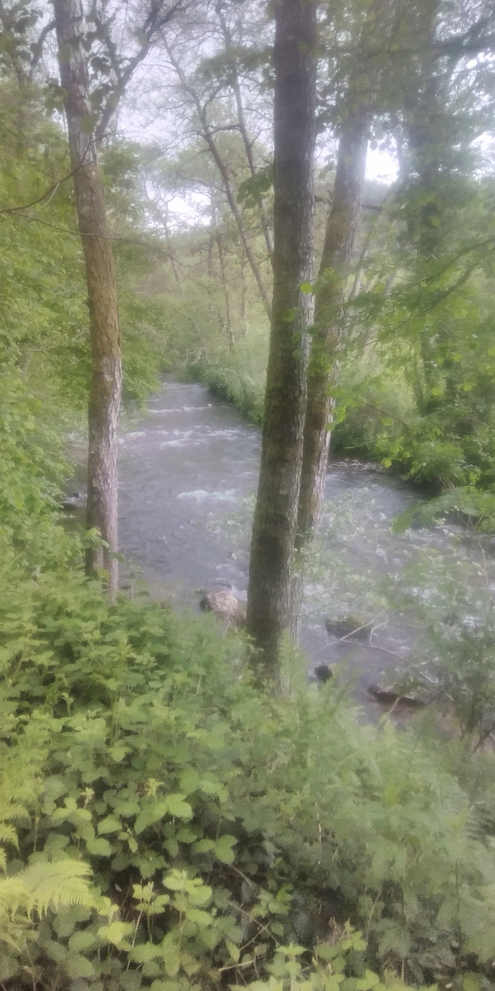 Gorges d'Avèze, Messeix (4/5)