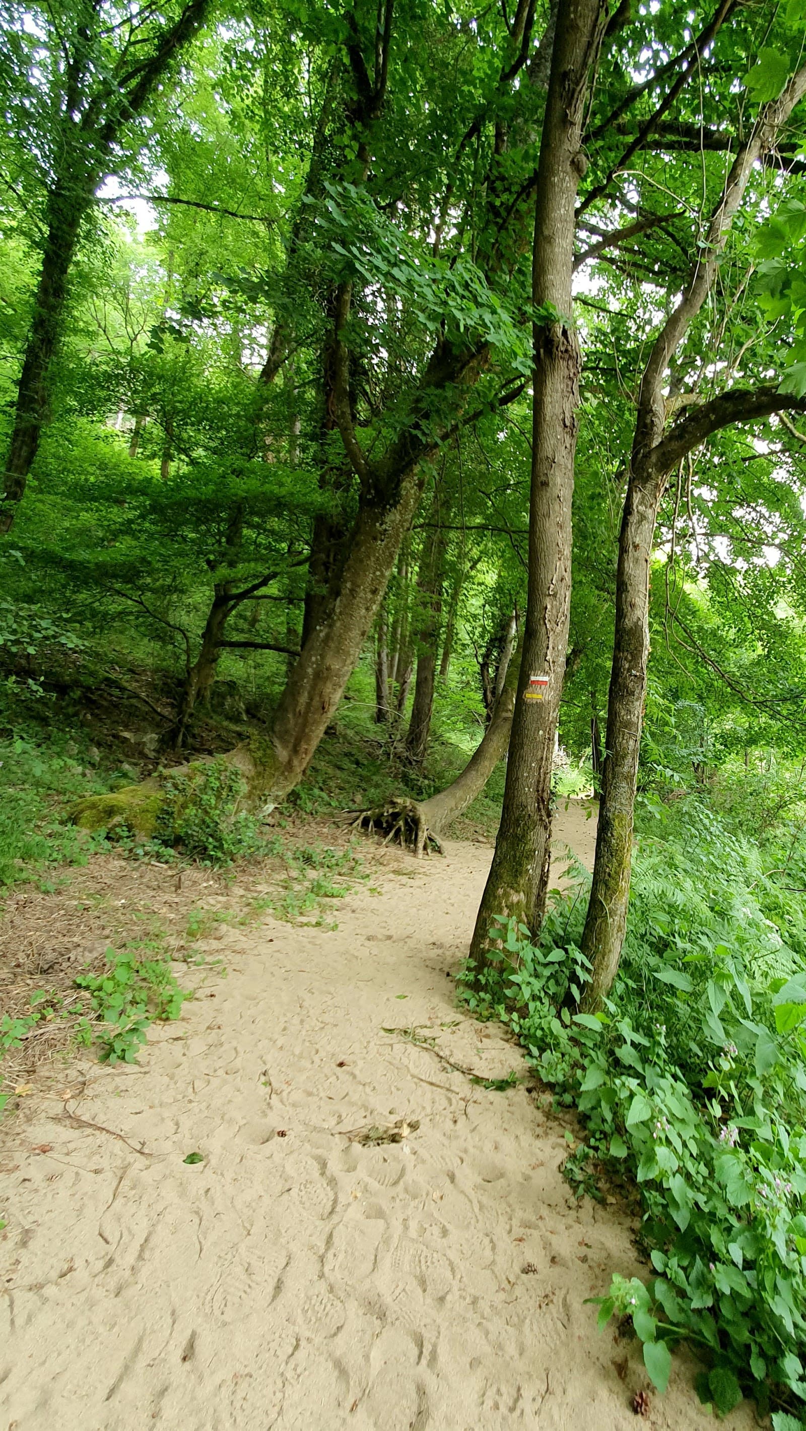 Le Saut du Chien, Aurec-sur-Loire (3/5)