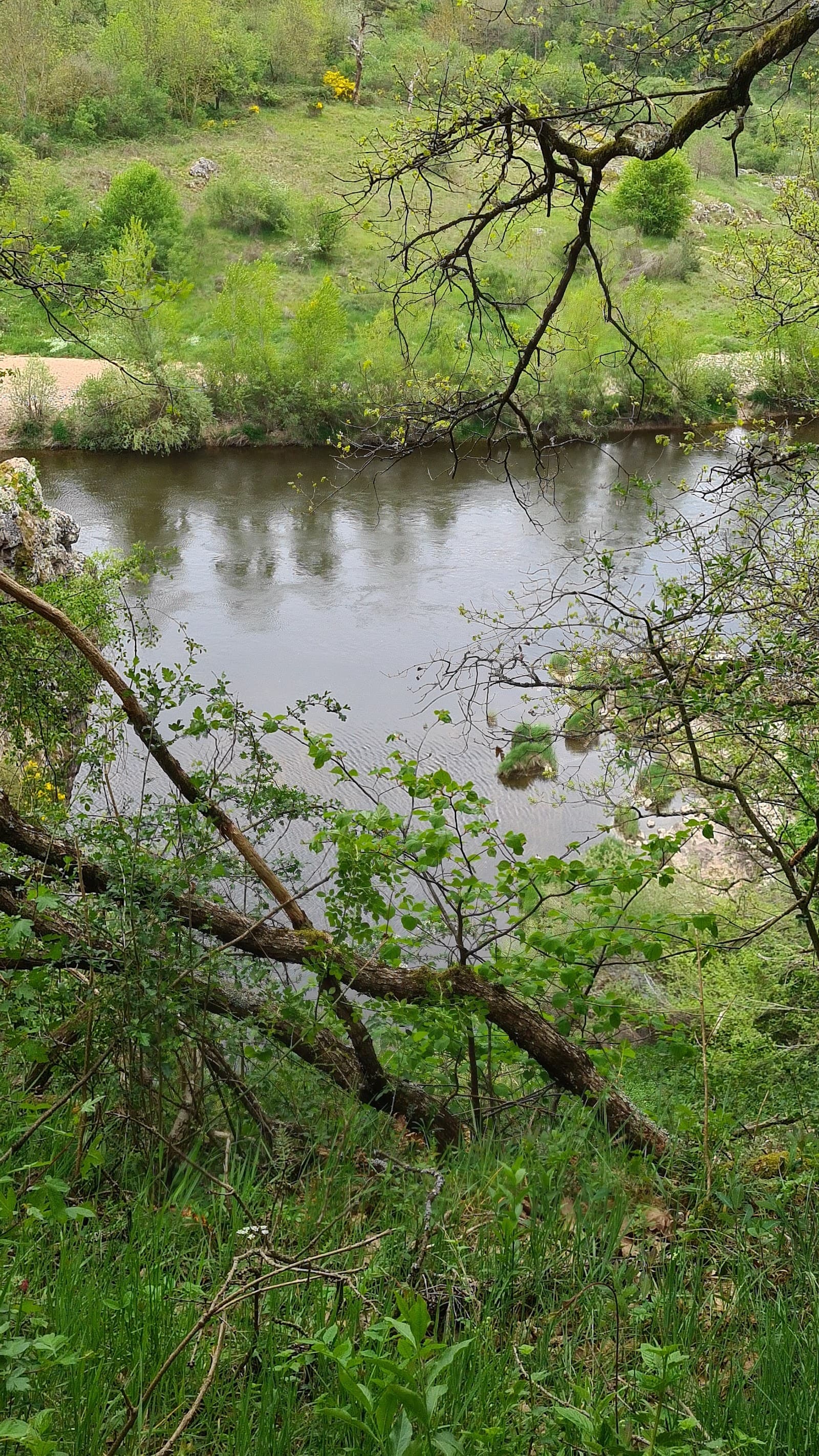 Le Saut du Chien, Aurec-sur-Loire (4/5)