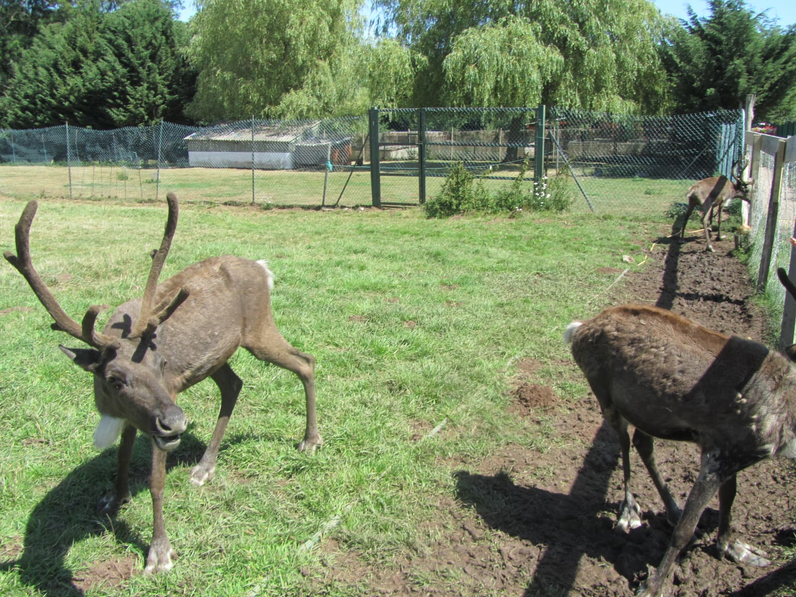 Parc pédagogique de Saint-Nectaire, Saint-Nectaire (2/5)