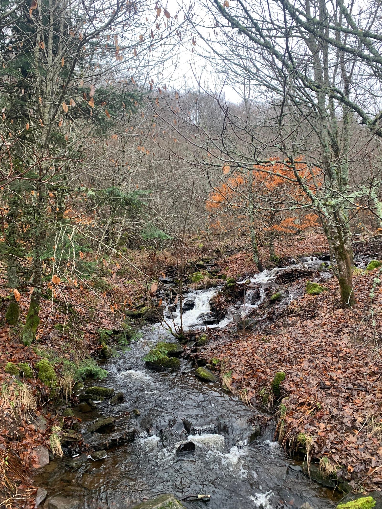 Cascade des Mortes de Guéry, Le Mont-Dore (3/5)