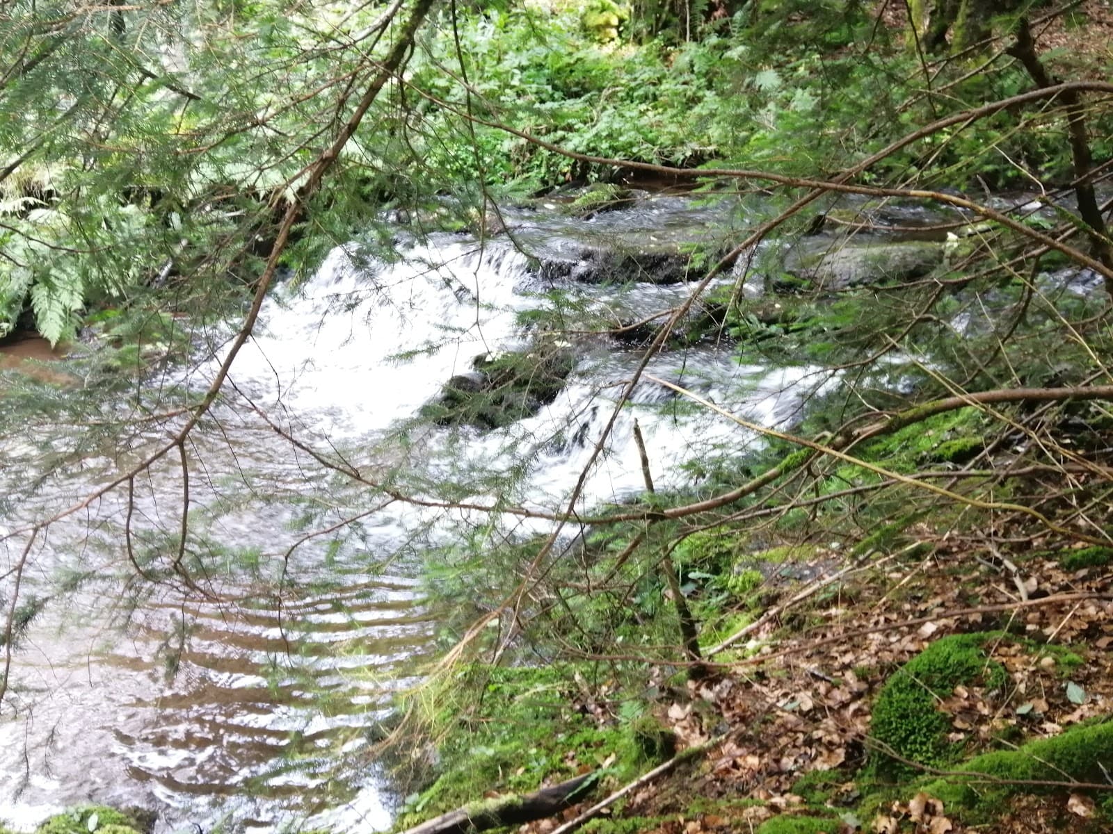 Cascade du Marilhou, Trizac (5/5)