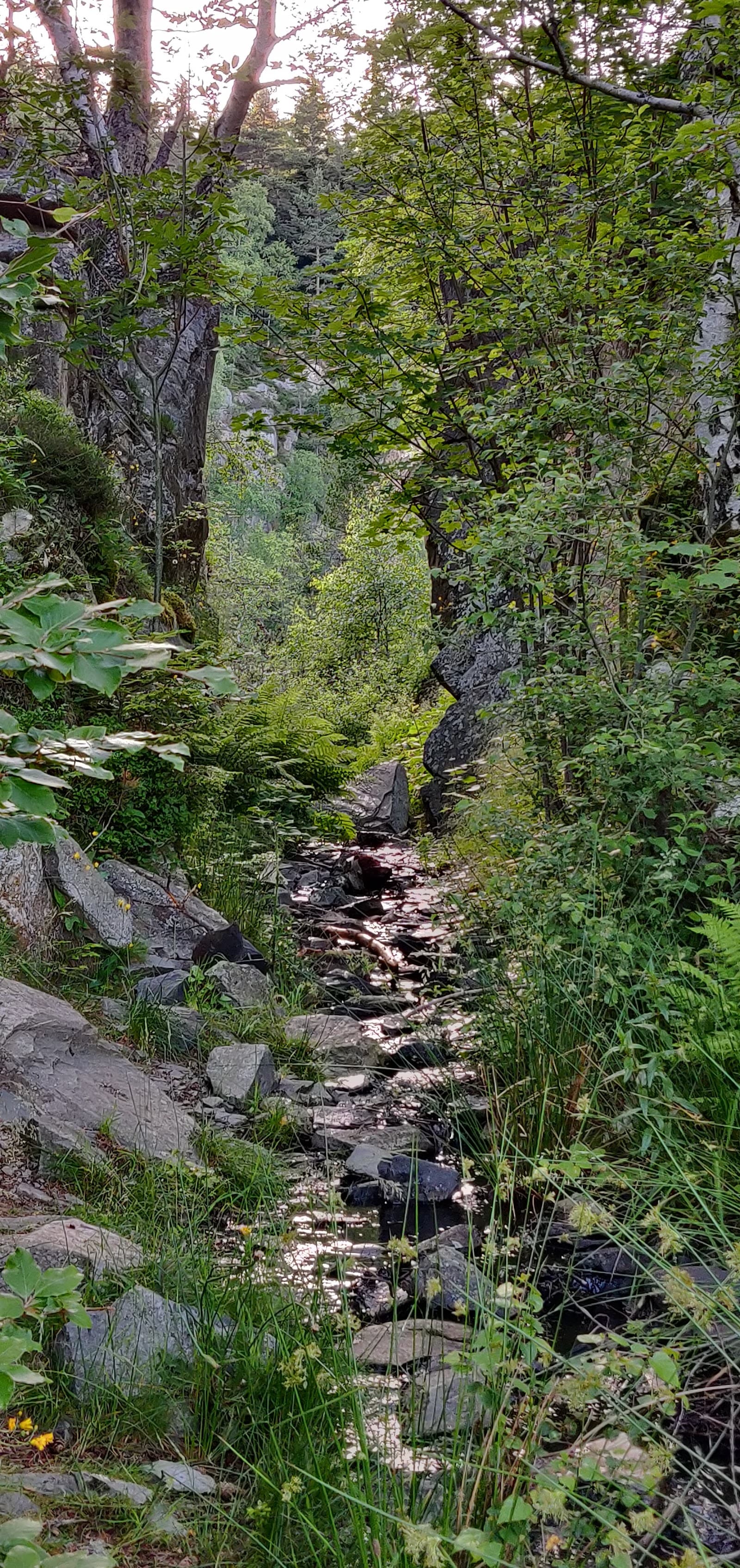 Lac Bleu de Champclause, Champclause (4/5)