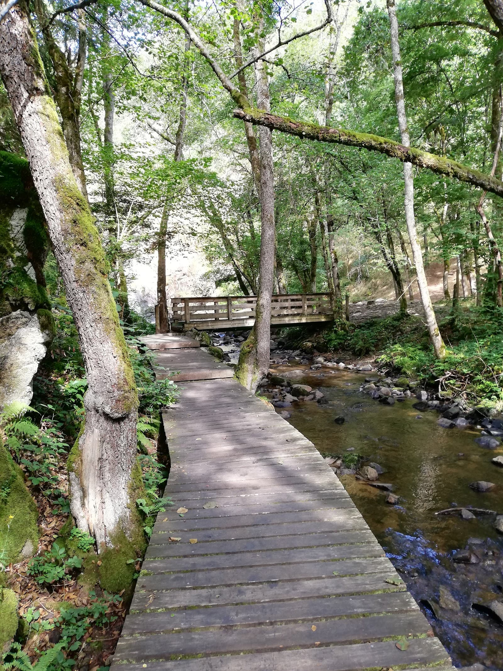 Cascade du Gour Saillant, Saint-Priest-des-Champs (2/5)