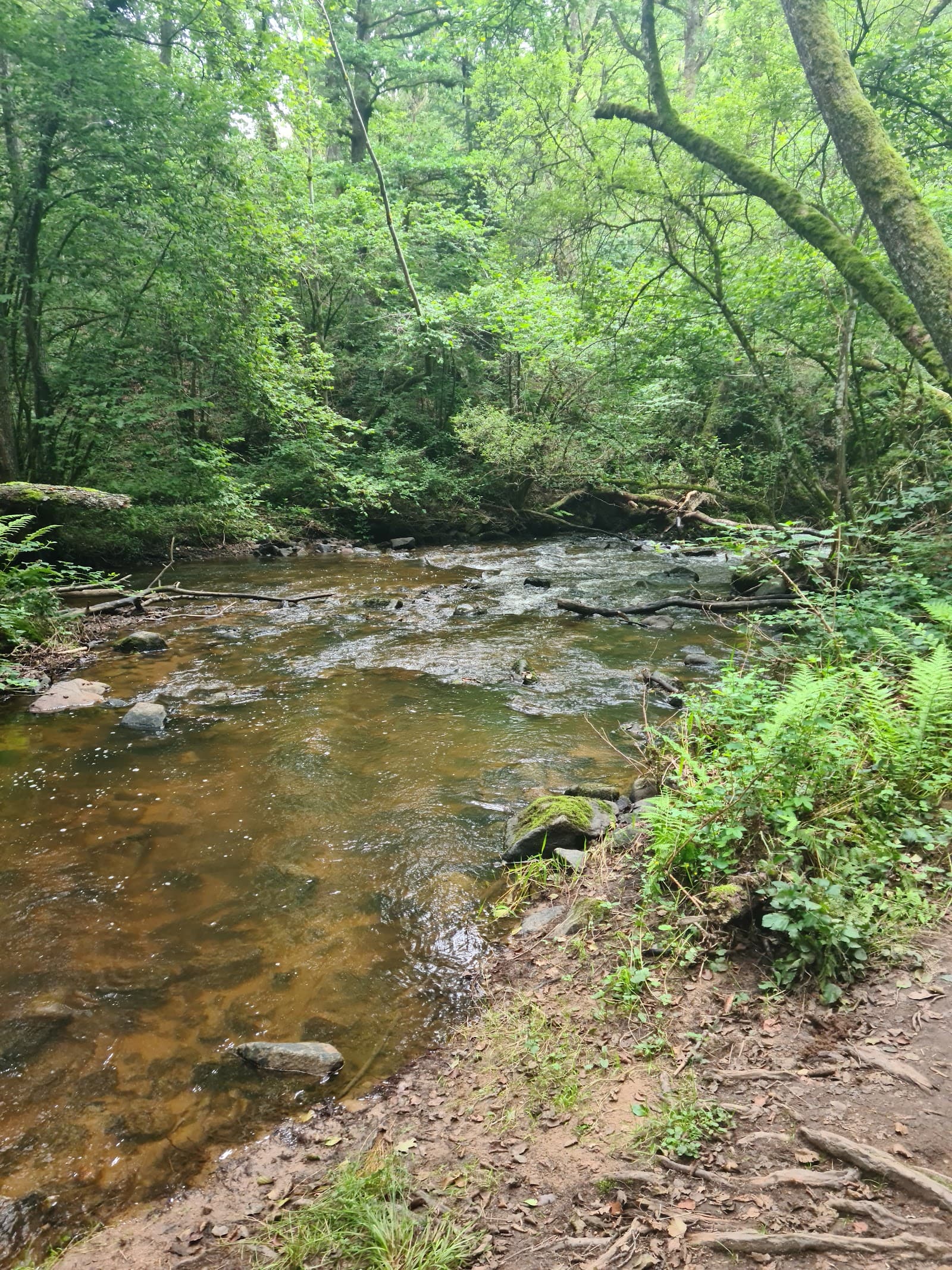 Cascade du Gour Saillant, Saint-Priest-des-Champs (3/5)