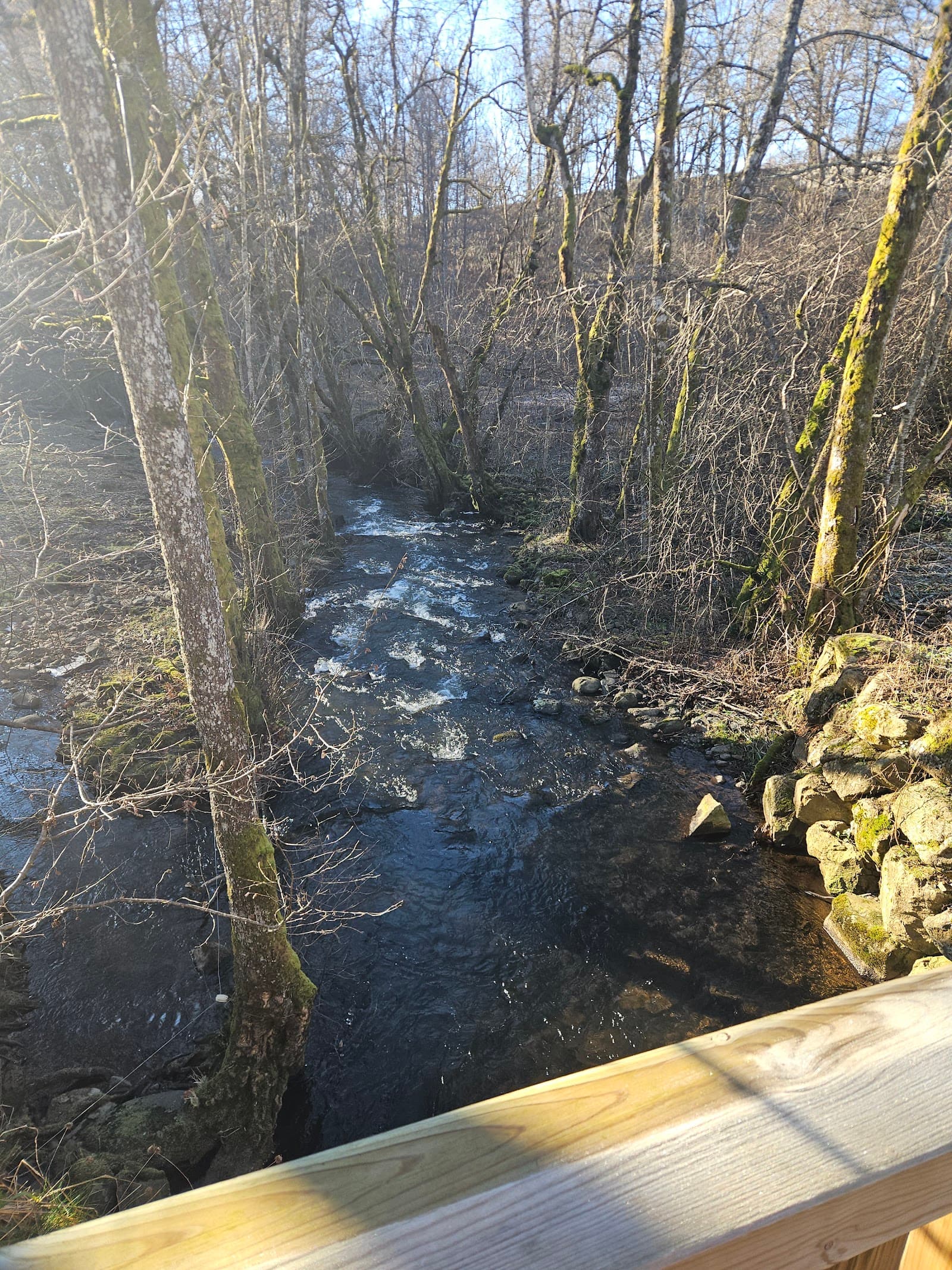 Cascade du Bois de Chaux, Égliseneuve-d'Entraigues (3/5)