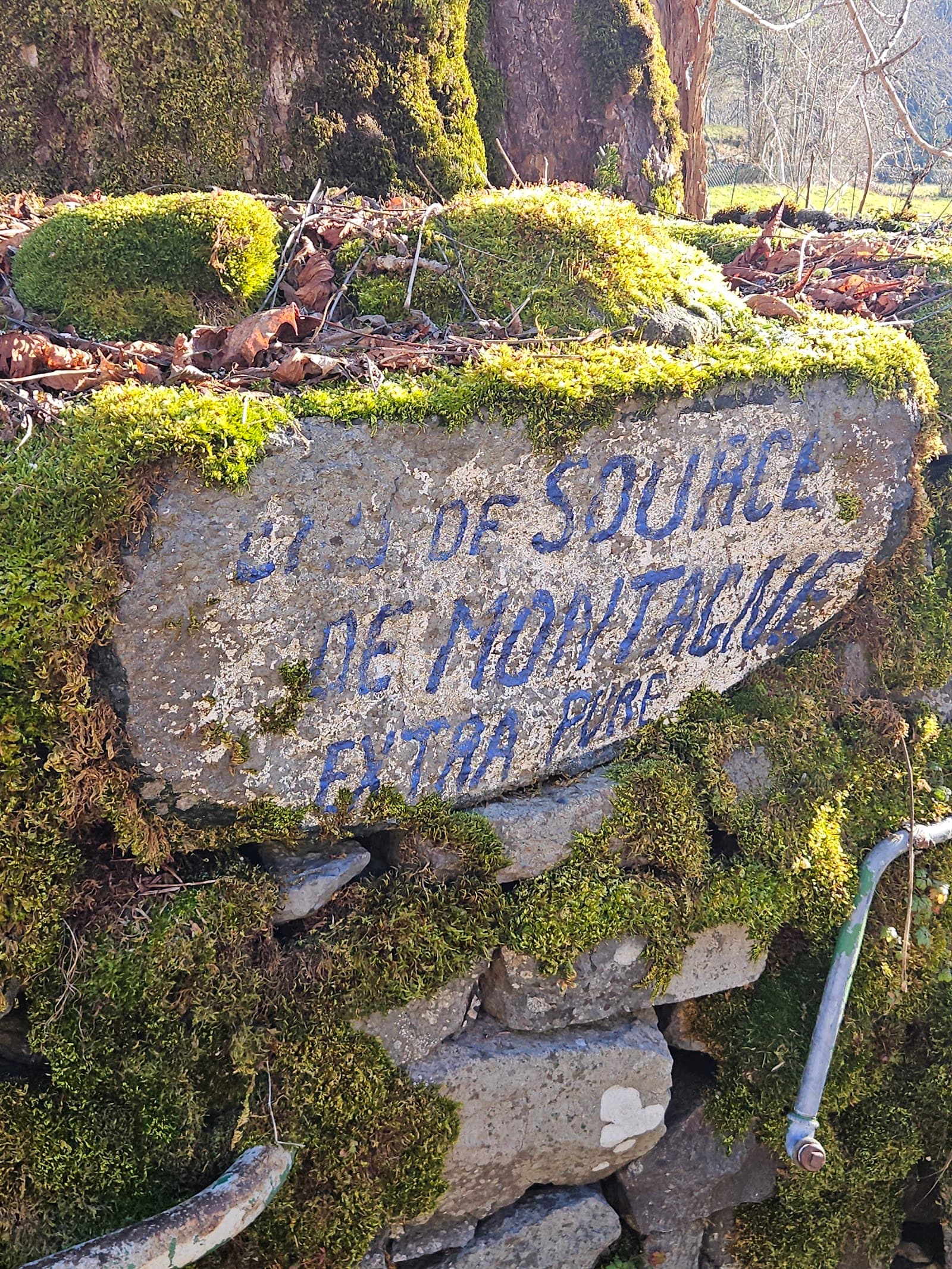 Cascade du Bois de Chaux, Égliseneuve-d'Entraigues (5/5)