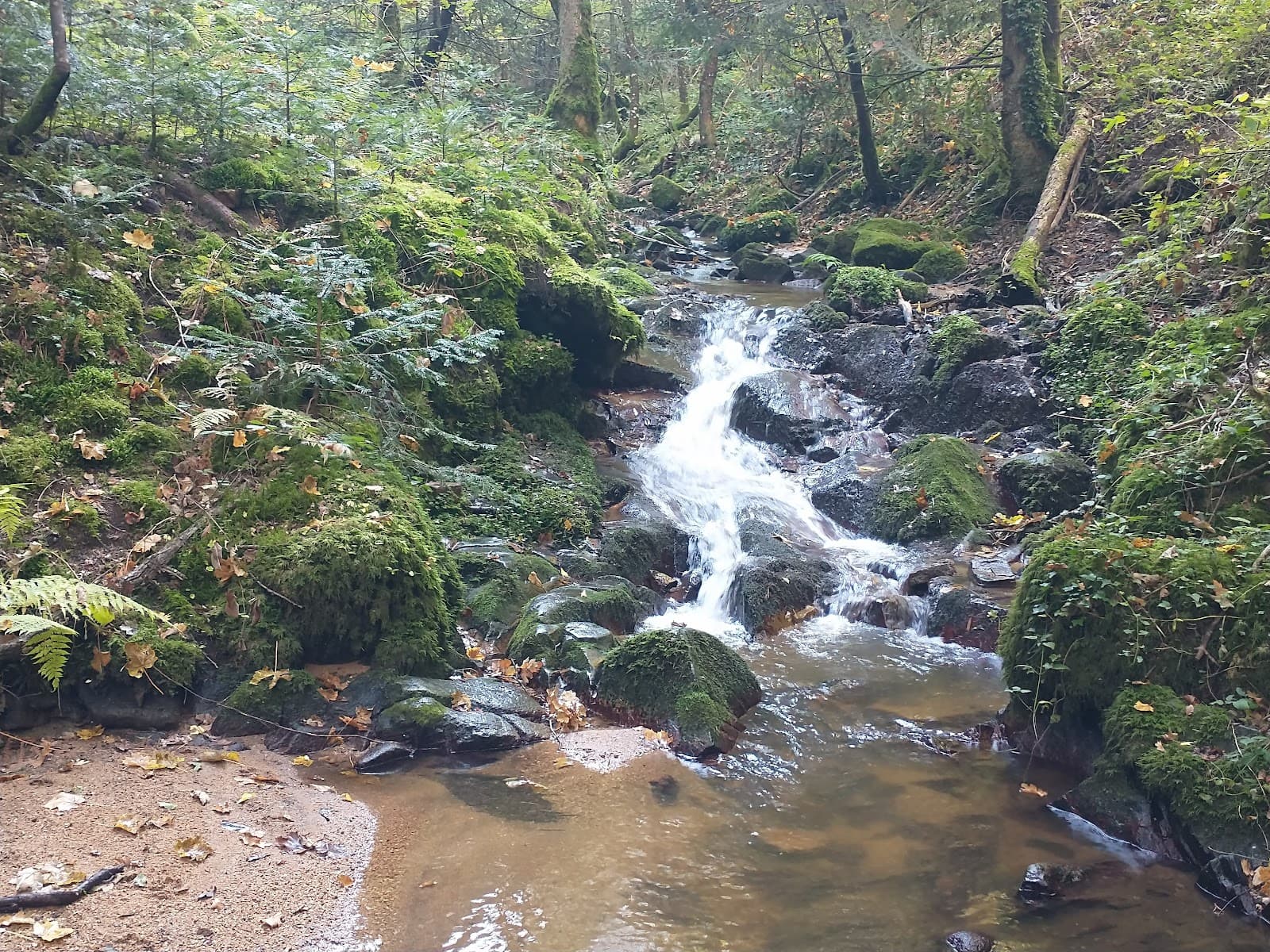 Ceyrat, Puy-de-Dôme