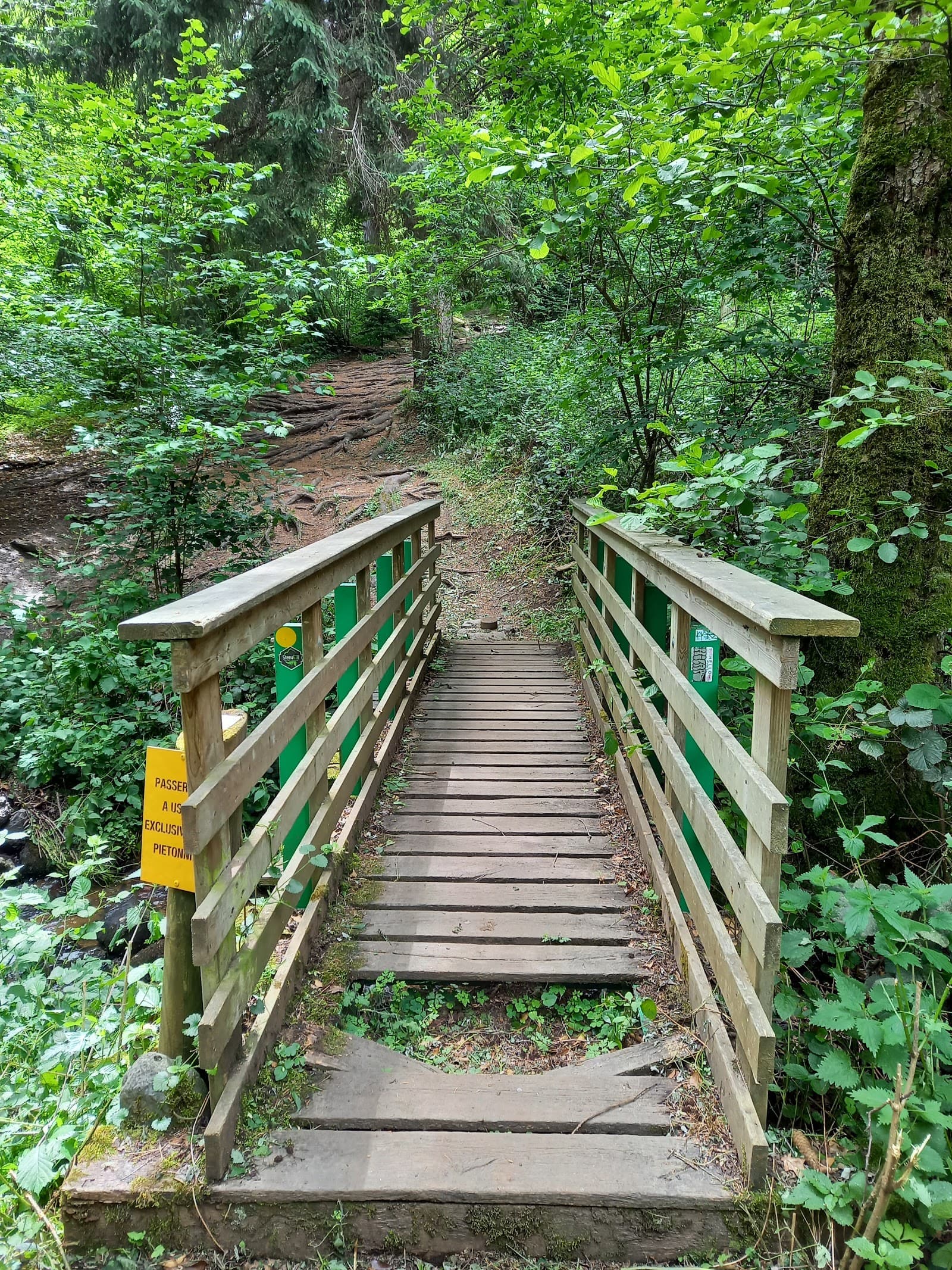 Gorges de Ceyrat, Ceyrat (2/5)