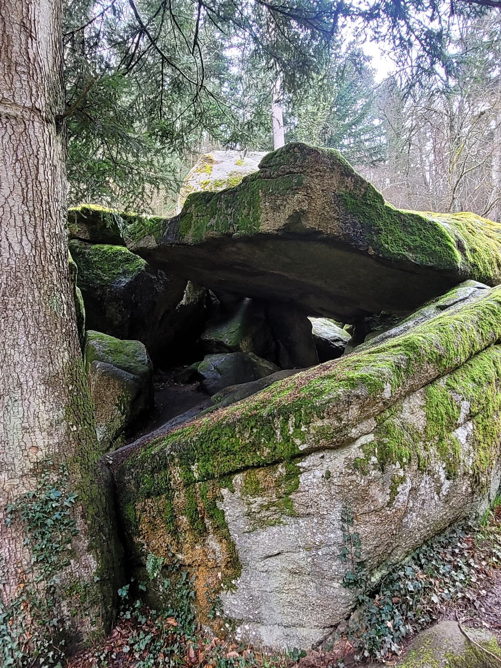 Gorges de Ceyrat, Ceyrat (4/5)