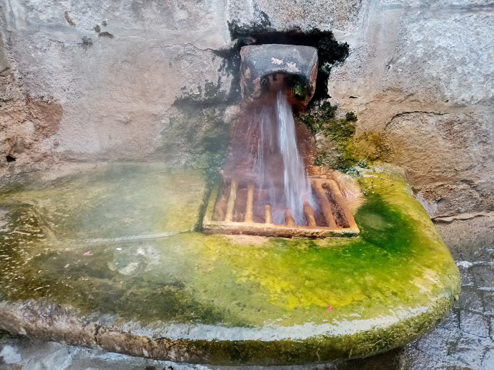 Source du Par, Chaudes-Aigues (1/5)
